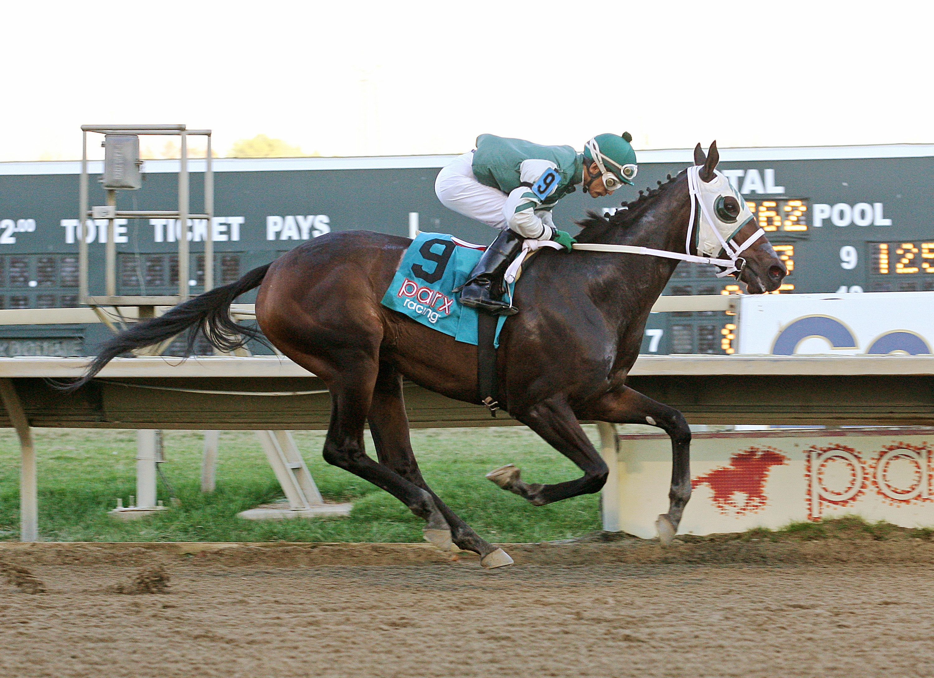Eighth Wonder wins the Donna Freyer