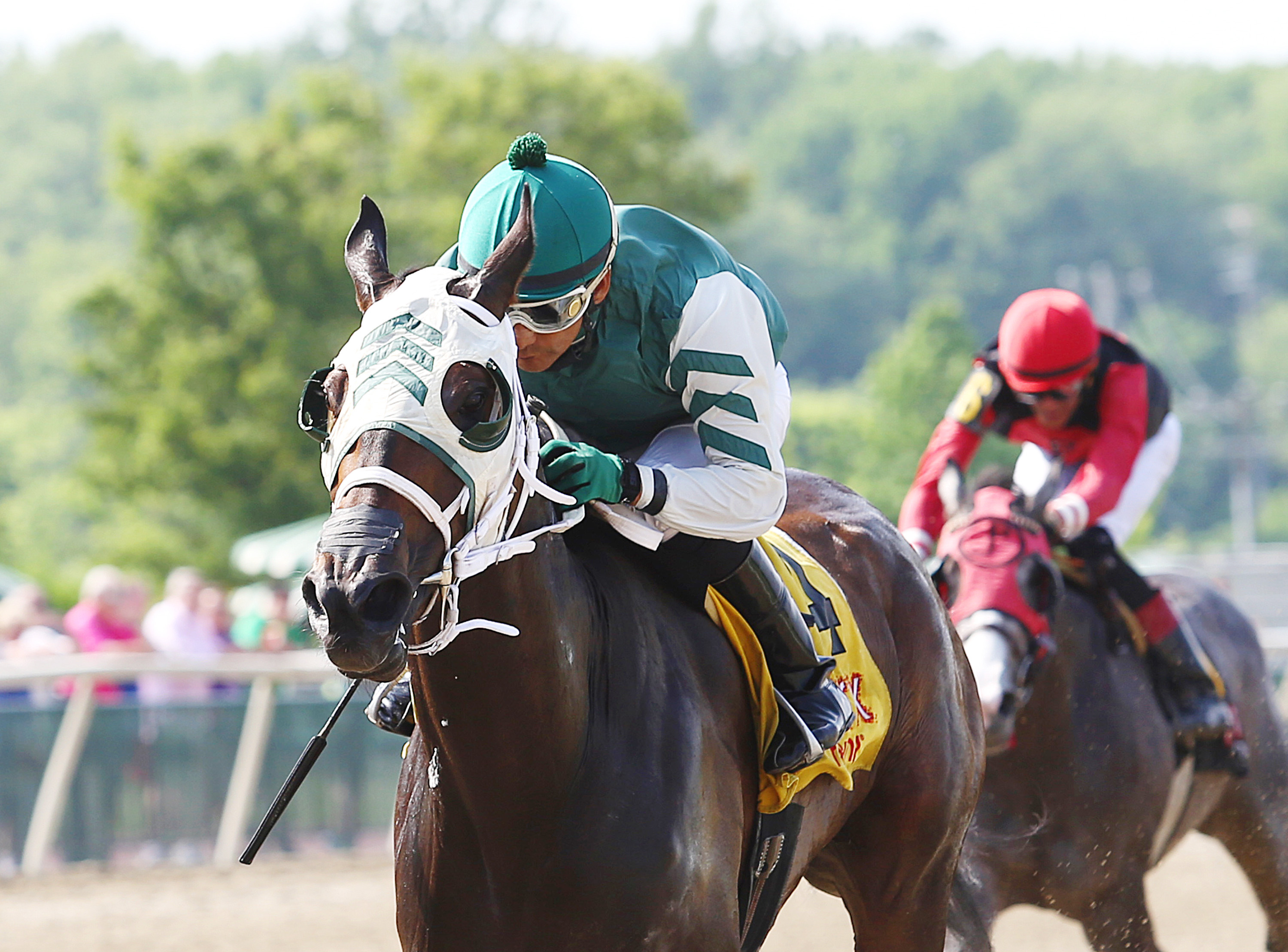 Eighth Wonder wins the Jostle Stakes