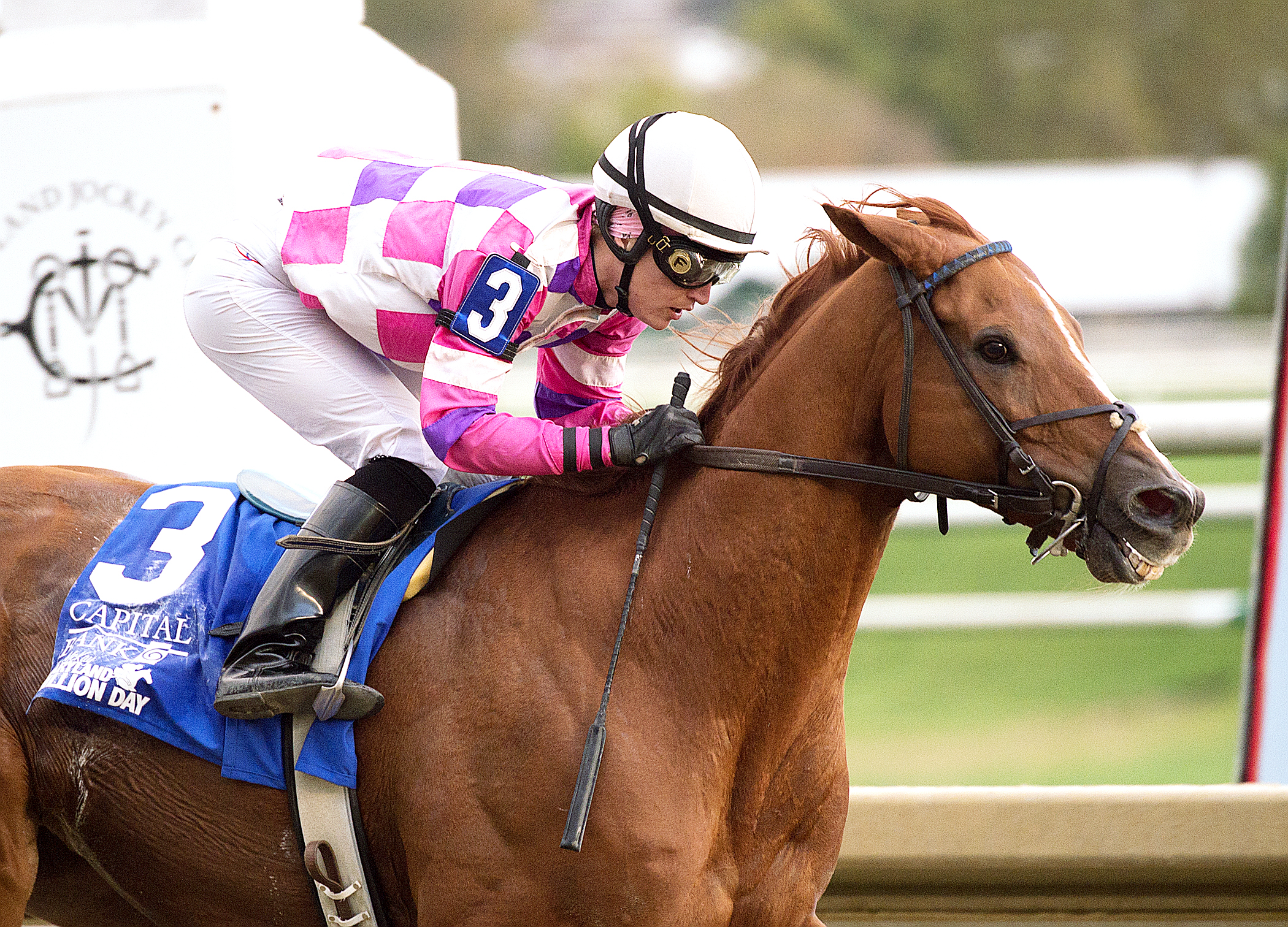 Eighttofasttocatch wins the Maryland Million Classic Stakes