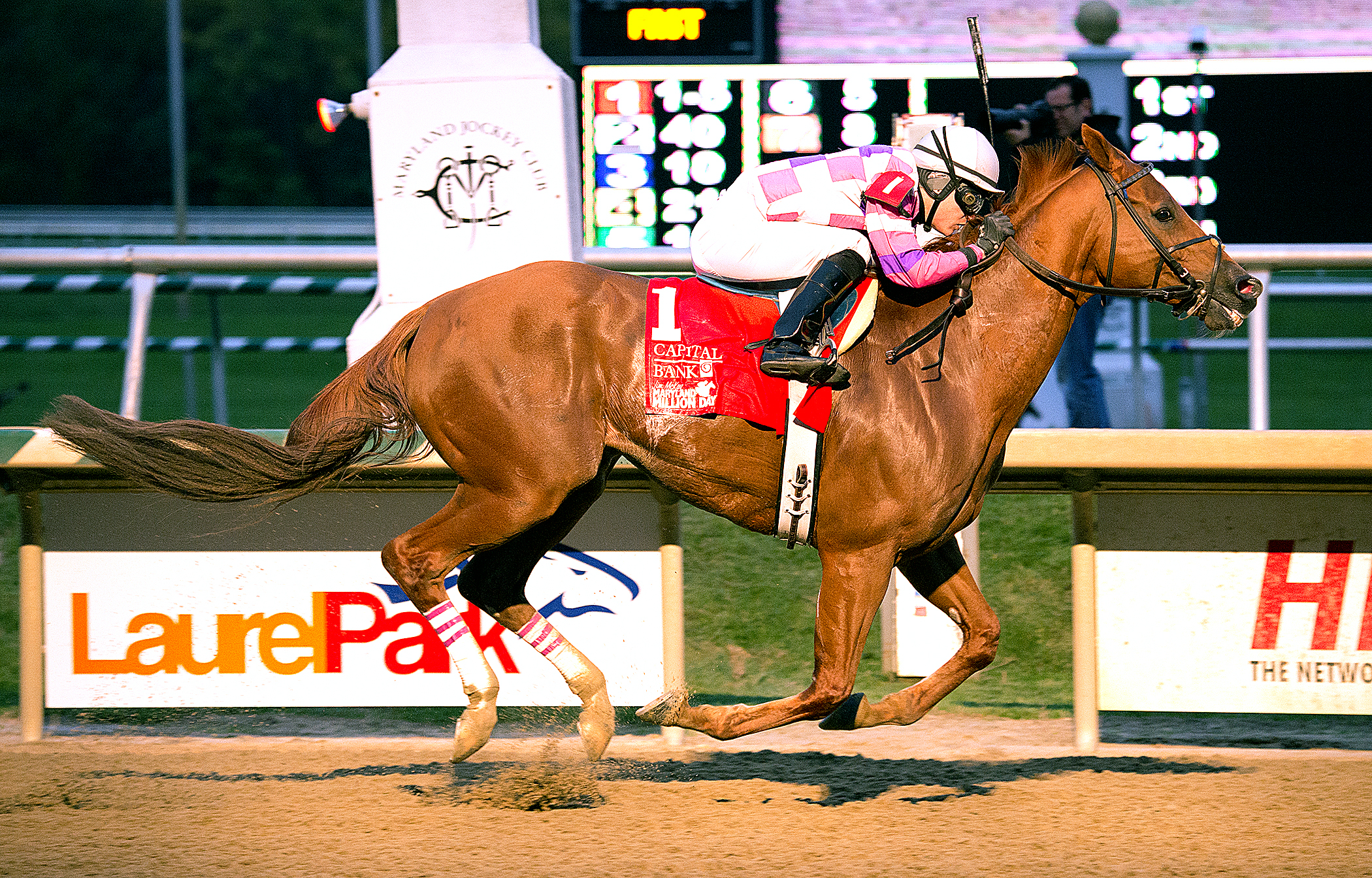 Eighttofasttocatch wins the 2013 Maryland Million Classic