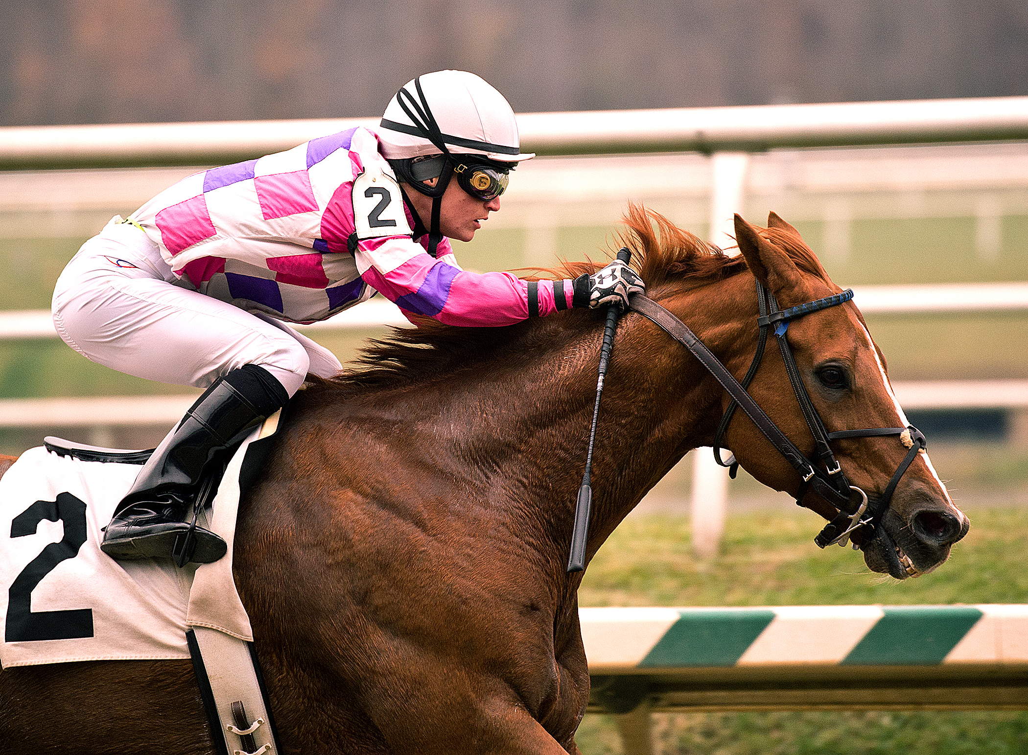 Eighttofasttocatch wins the Jennings