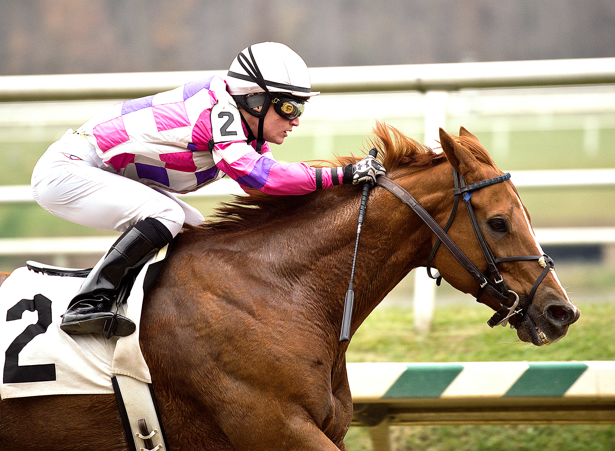 EIghttofasttocatch wins the Jennings Handicap