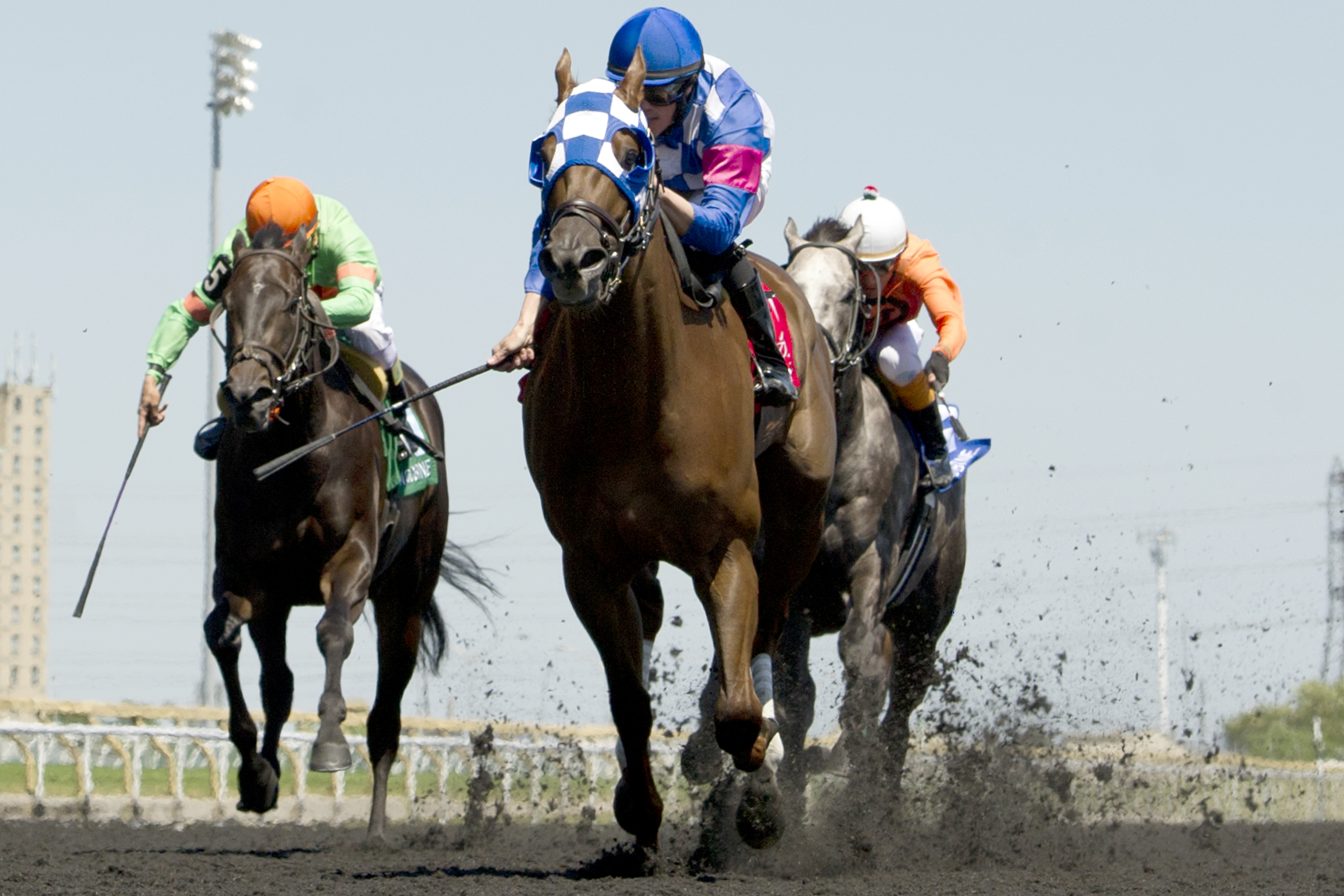 Eighty Nine Red wins the Achievement Stakes