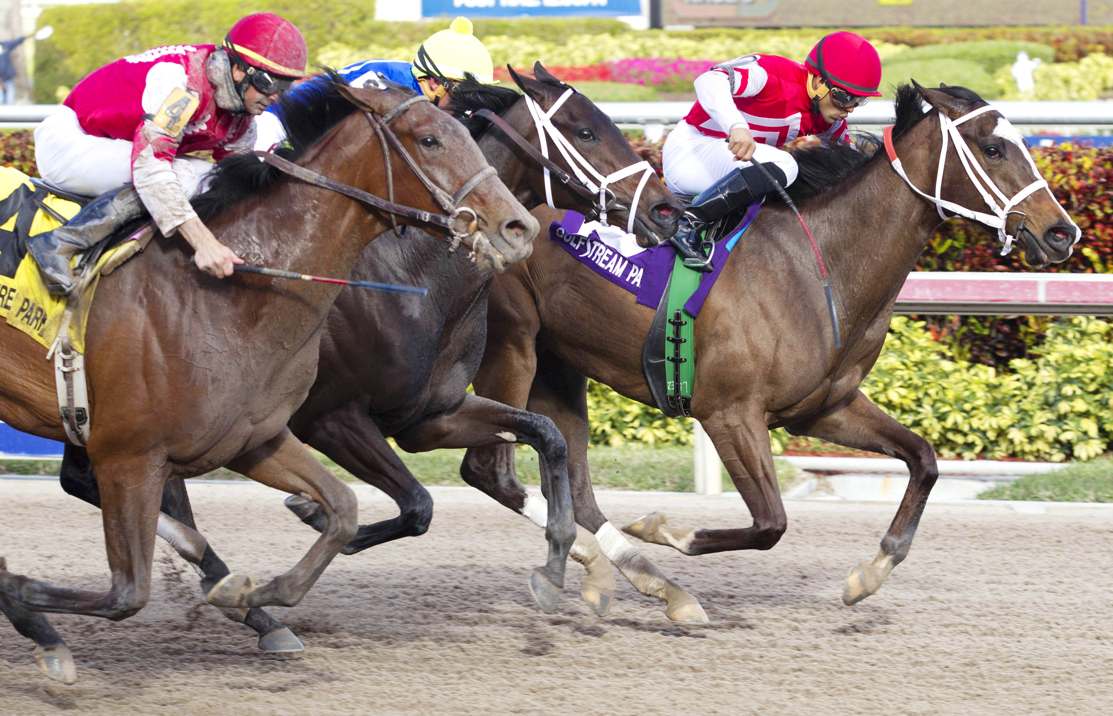 Ekati's Phaeton wins the Davona Dale