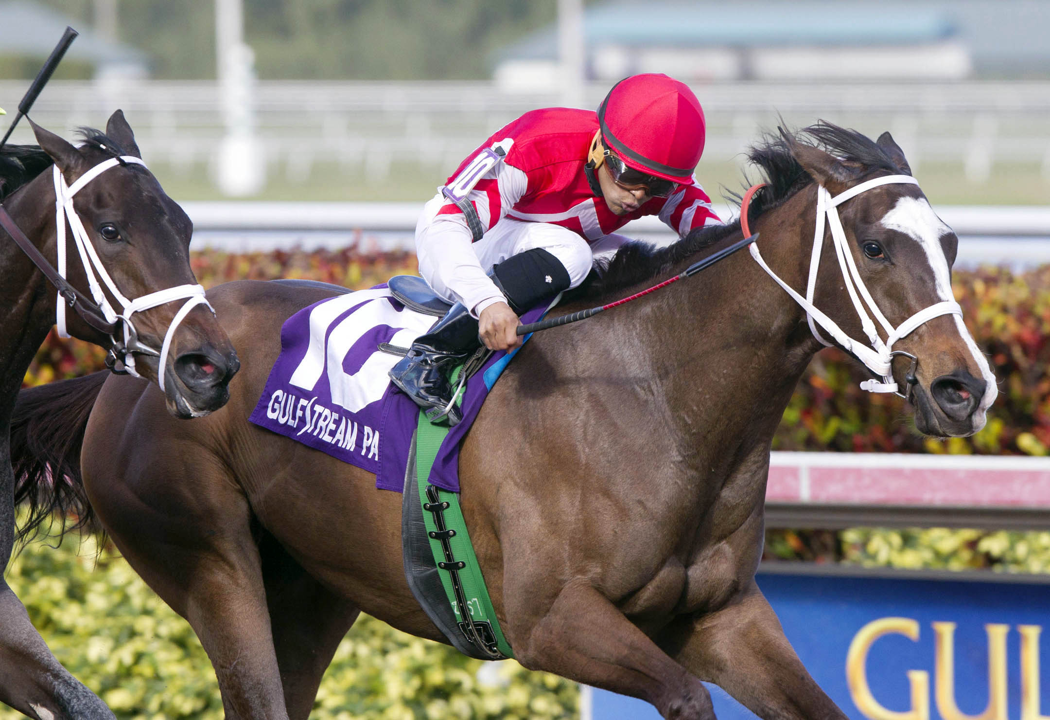Ekati's Phaeton wins the Davona Dale