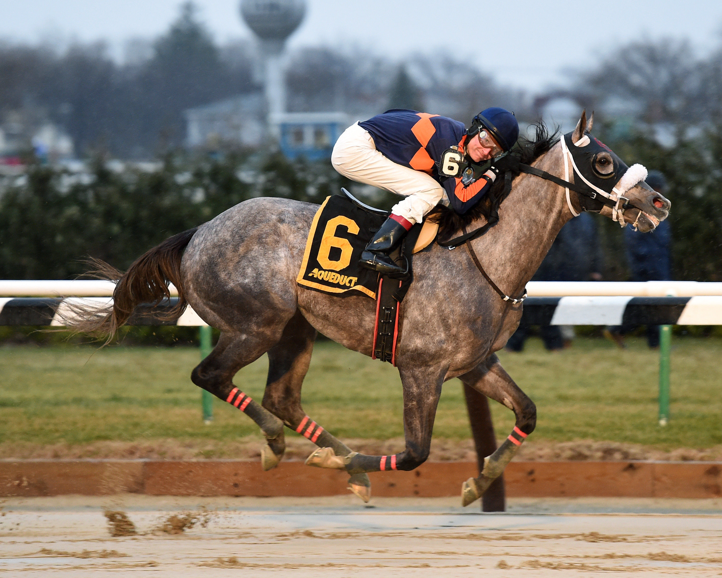El Areeb wins the Jerome
