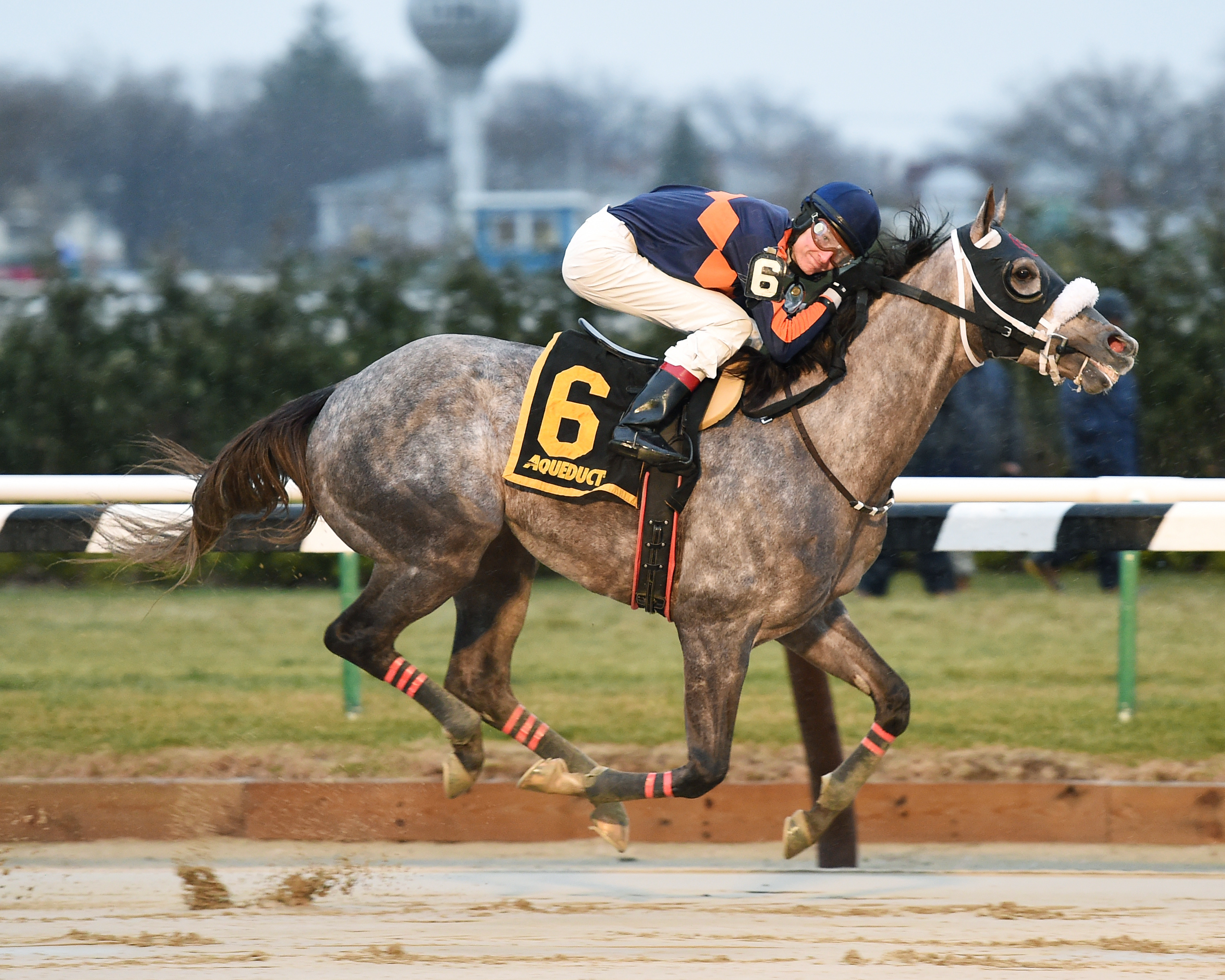 El Areeb wins the Jerome