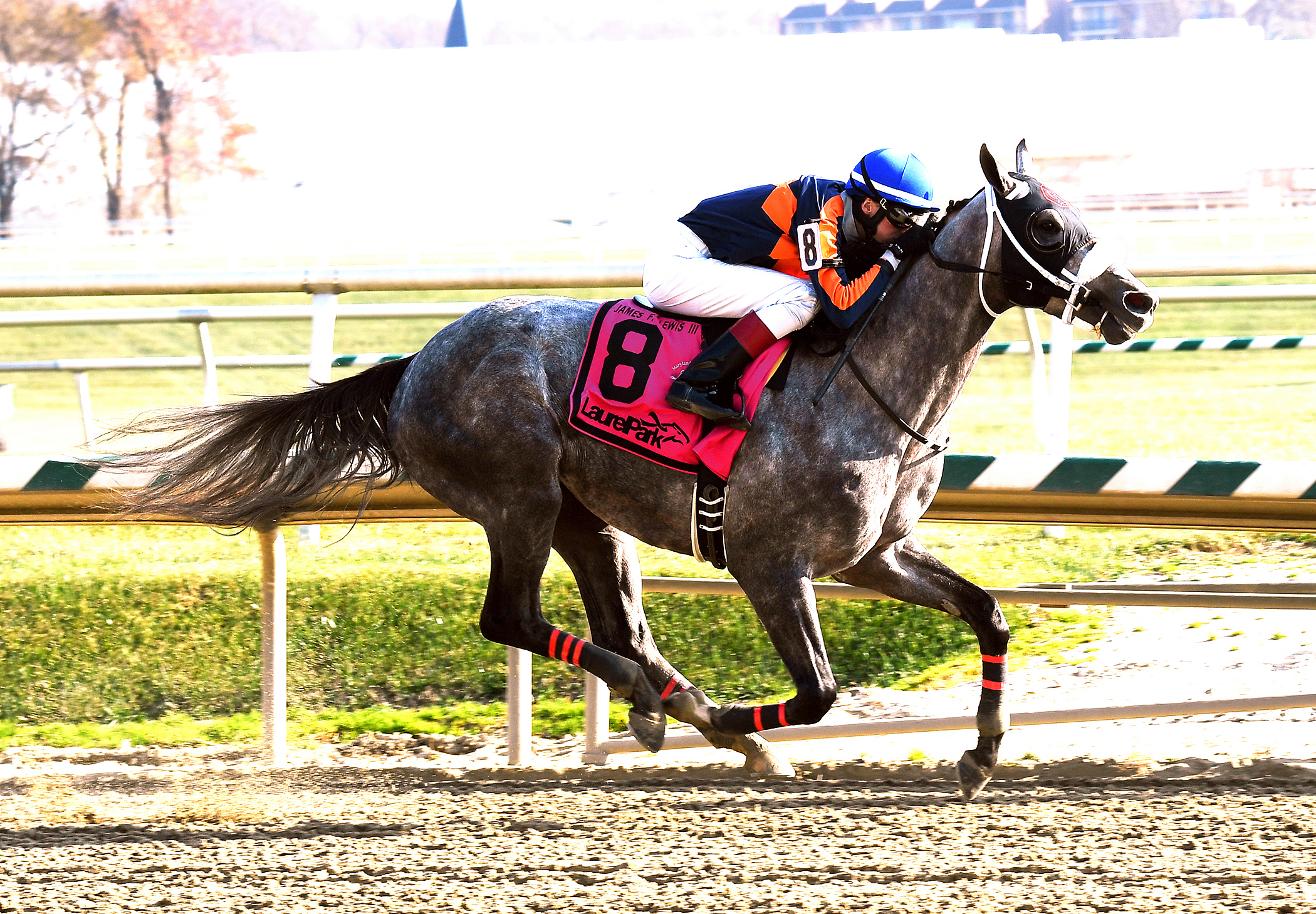 El Areeb wins the James F. Lewis III Stakes