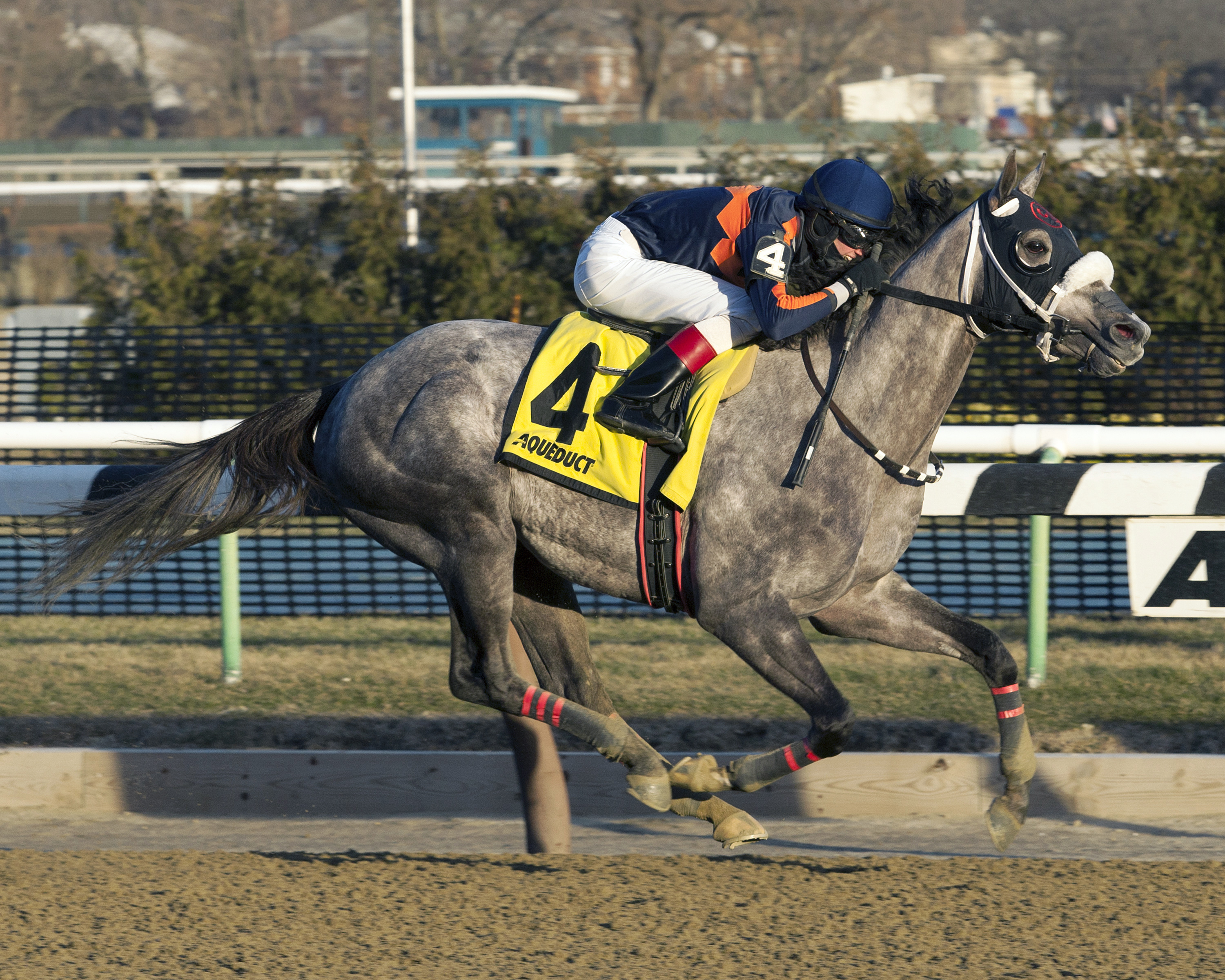 El Areeb wins the Wither Stakes