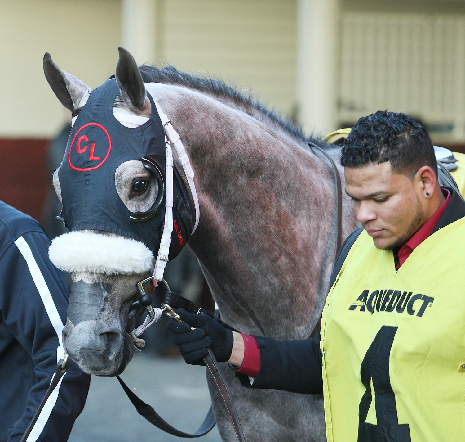 El Areeb on Feb. 4
