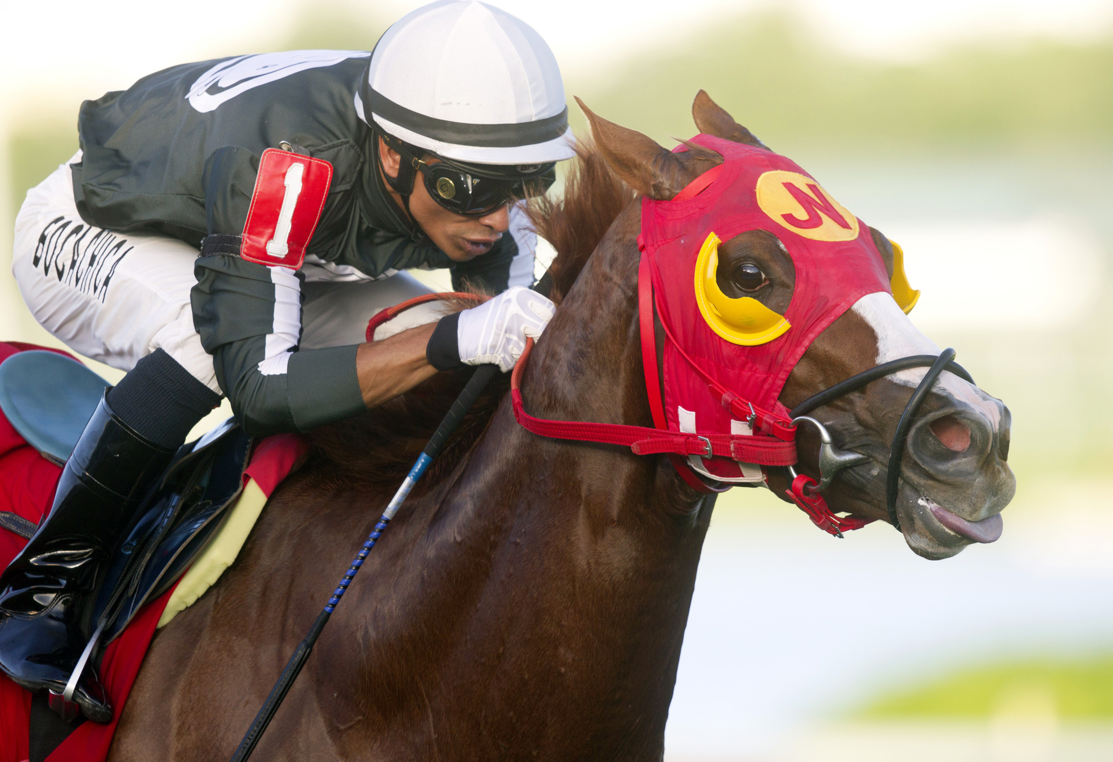 El Botas wins an allowance race
