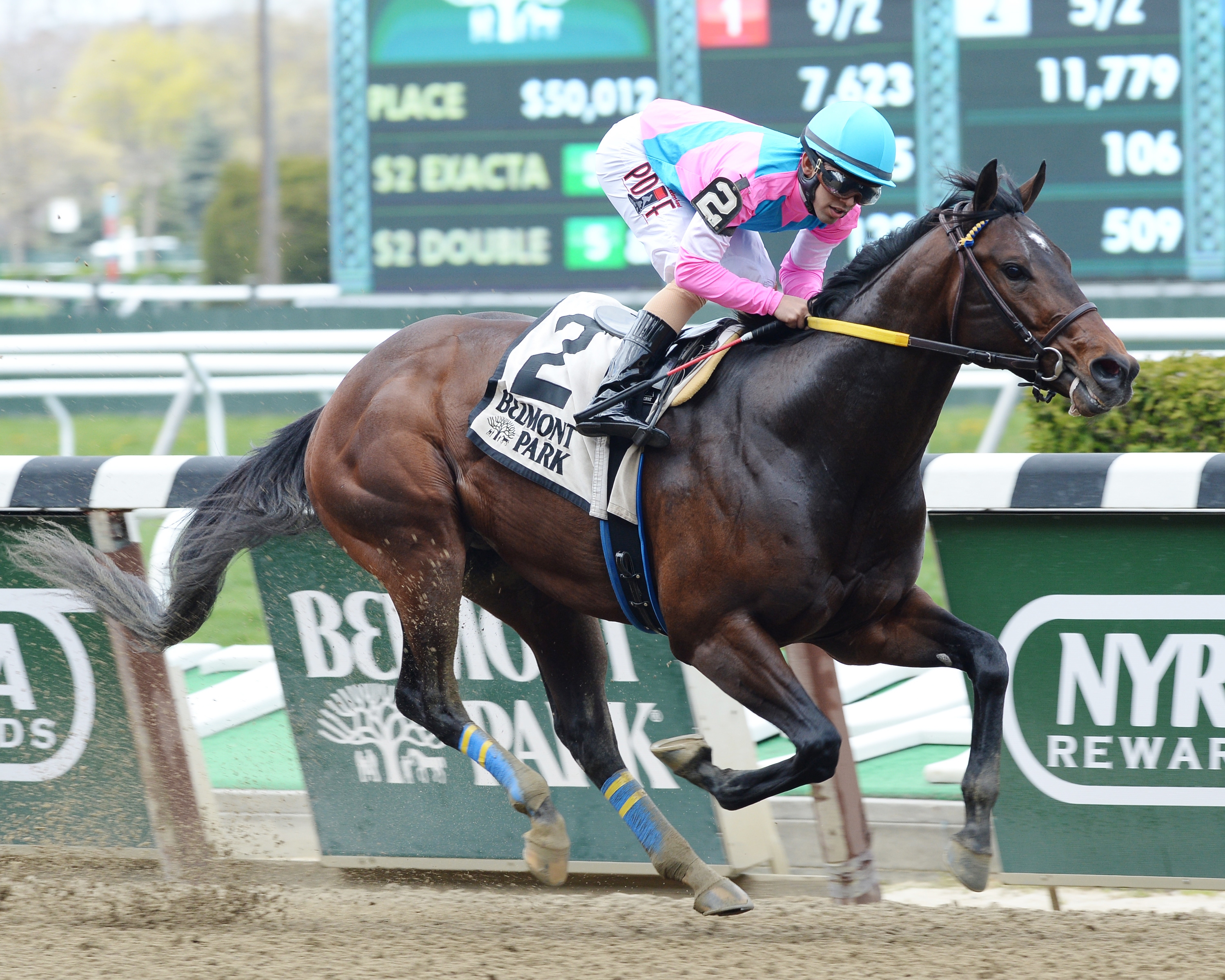 El Deal wins the Gold Fever