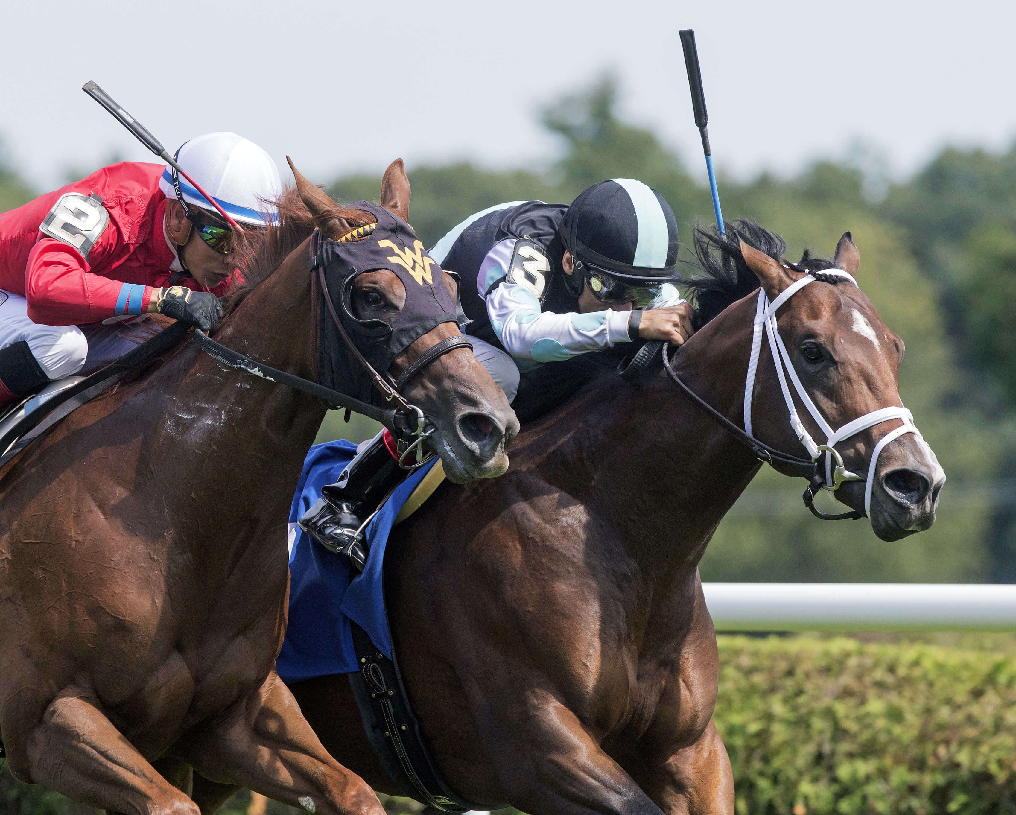 El Dulce wins his racing debut on July 29, 2017