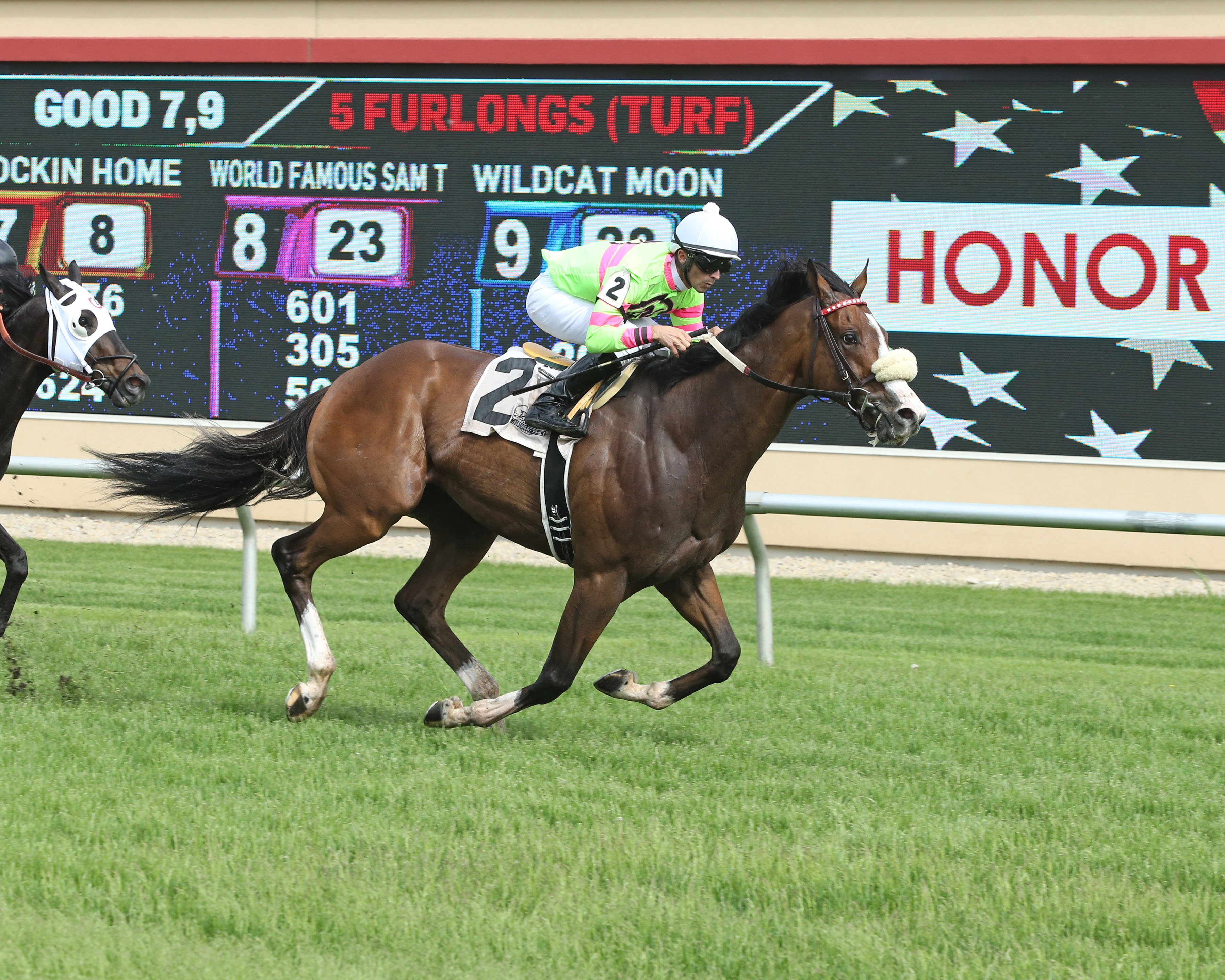 El Seventyseven wins Honor the Hero Stakes