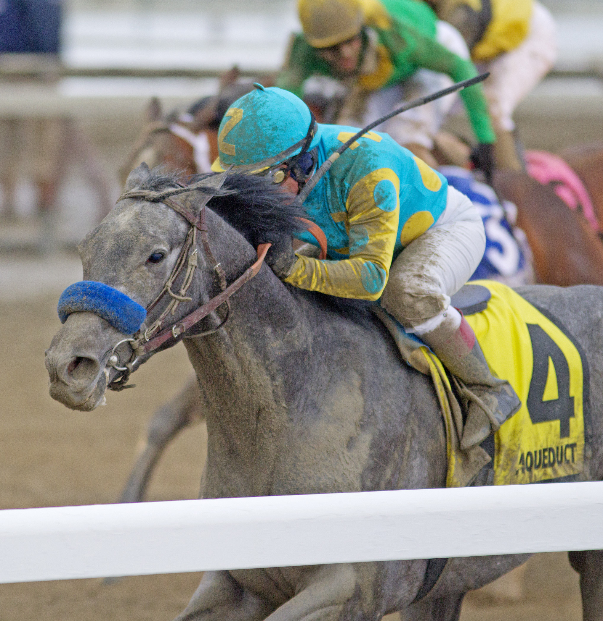 El Kabeir wins 2015 Gotham