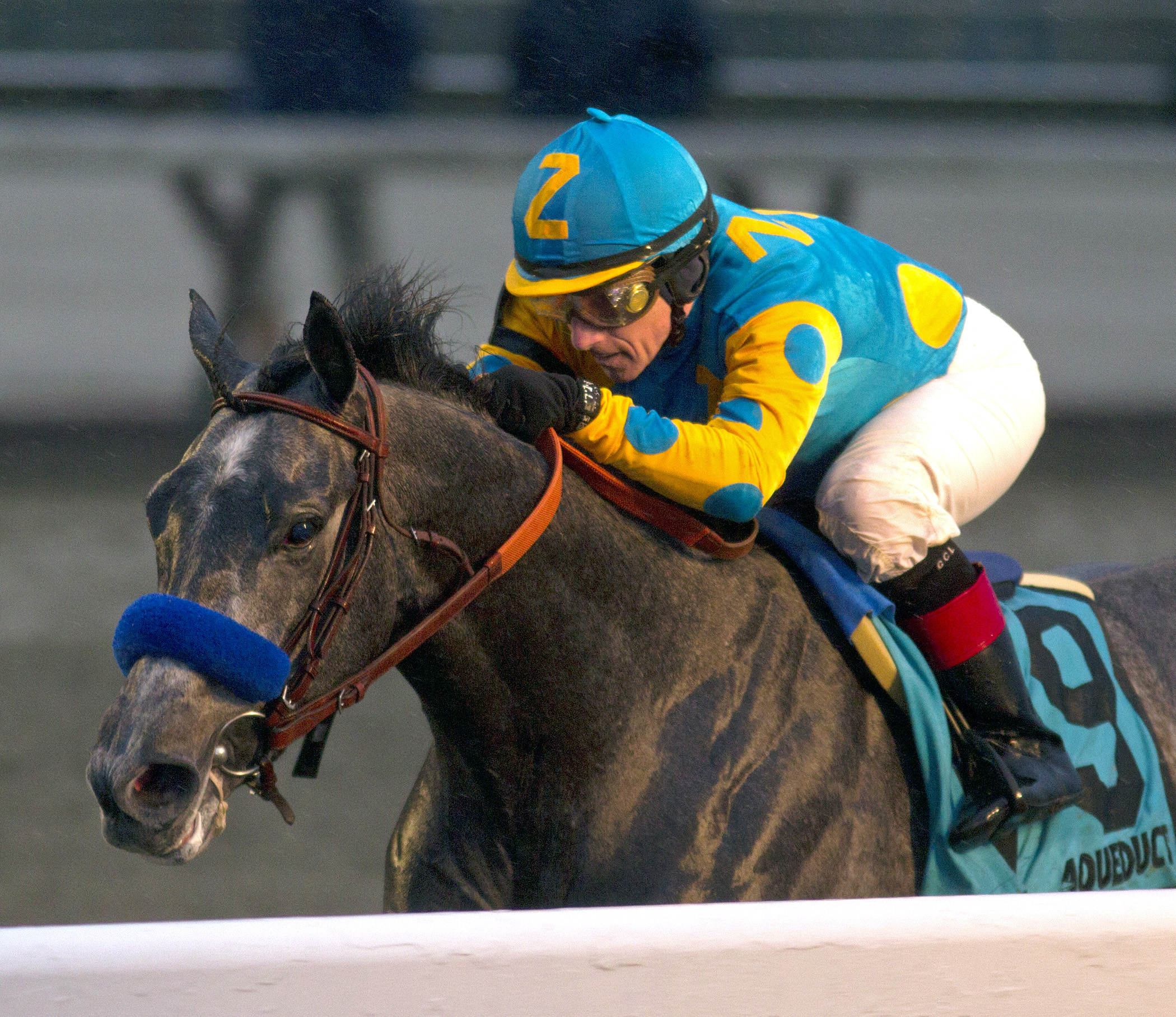 El Kabeir wins the Jerome Stakes