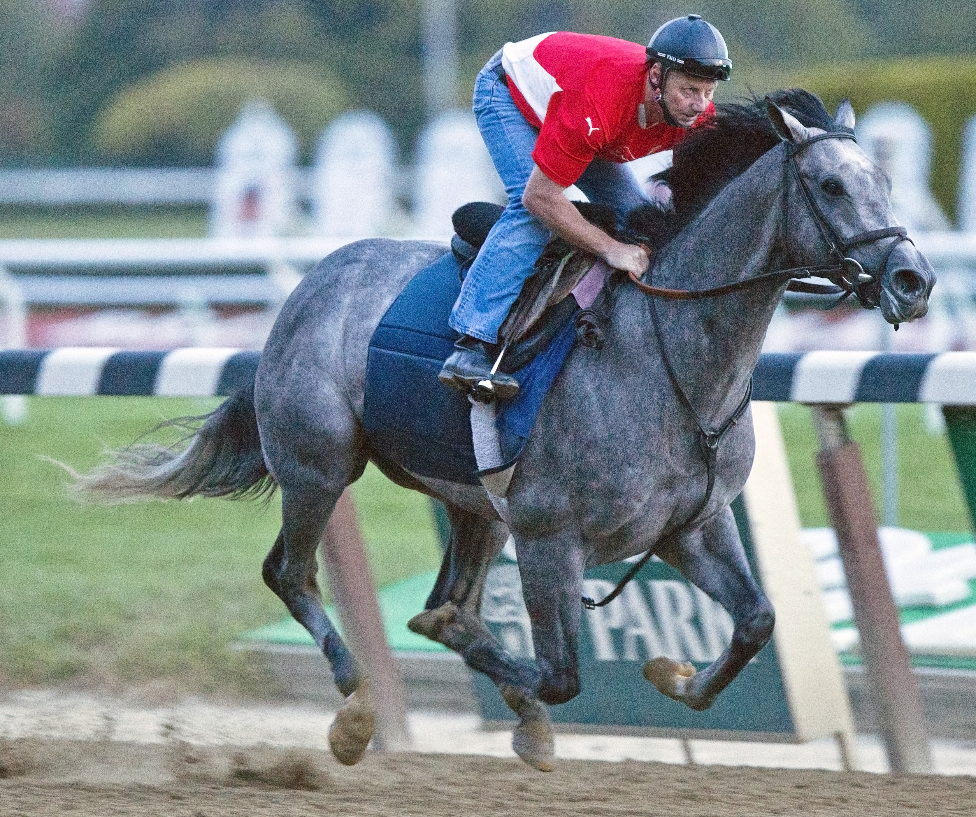 Belmont: El Kabeir takes on older rivals