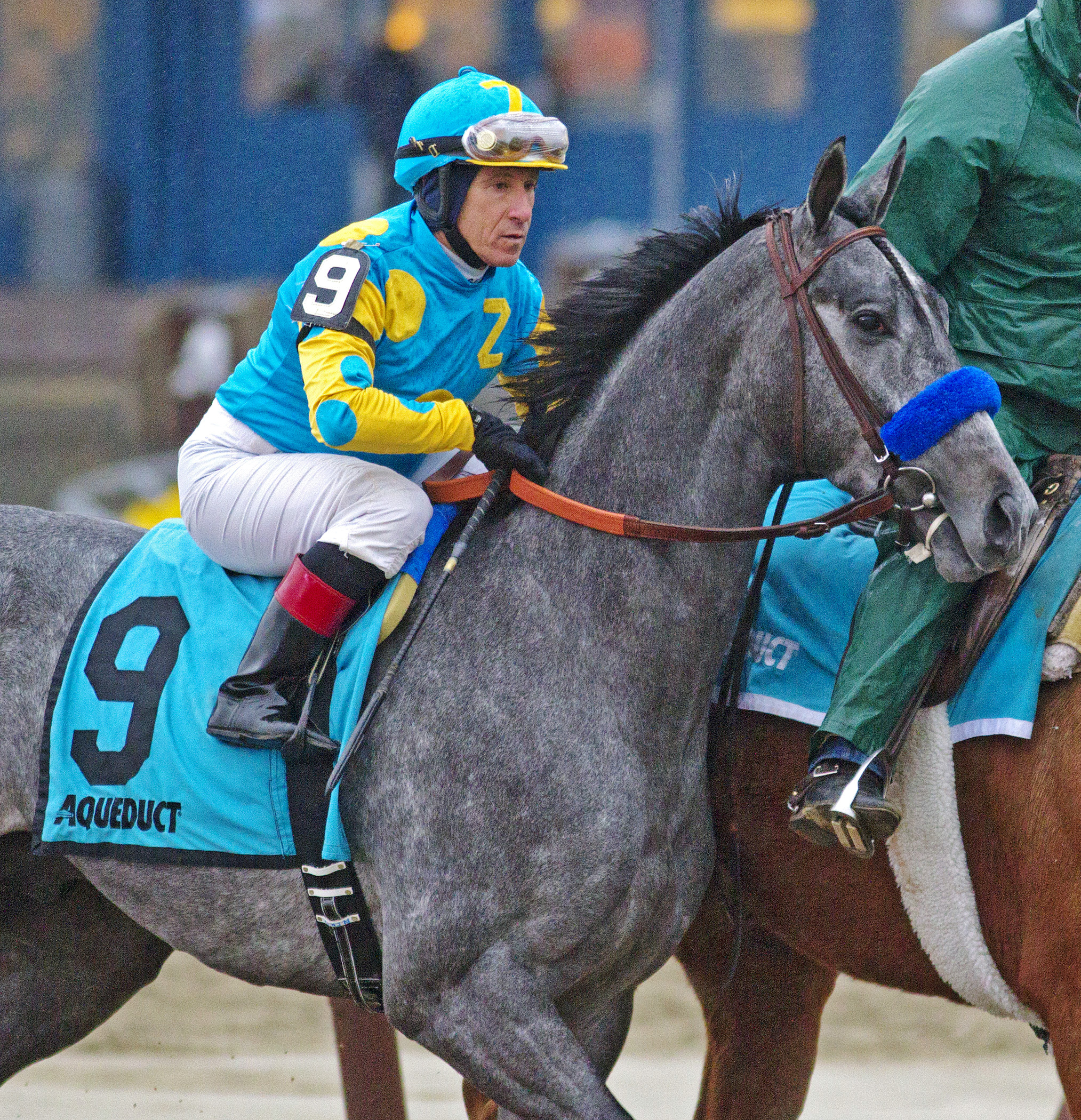 El Kabeir at the Jerome Stakes