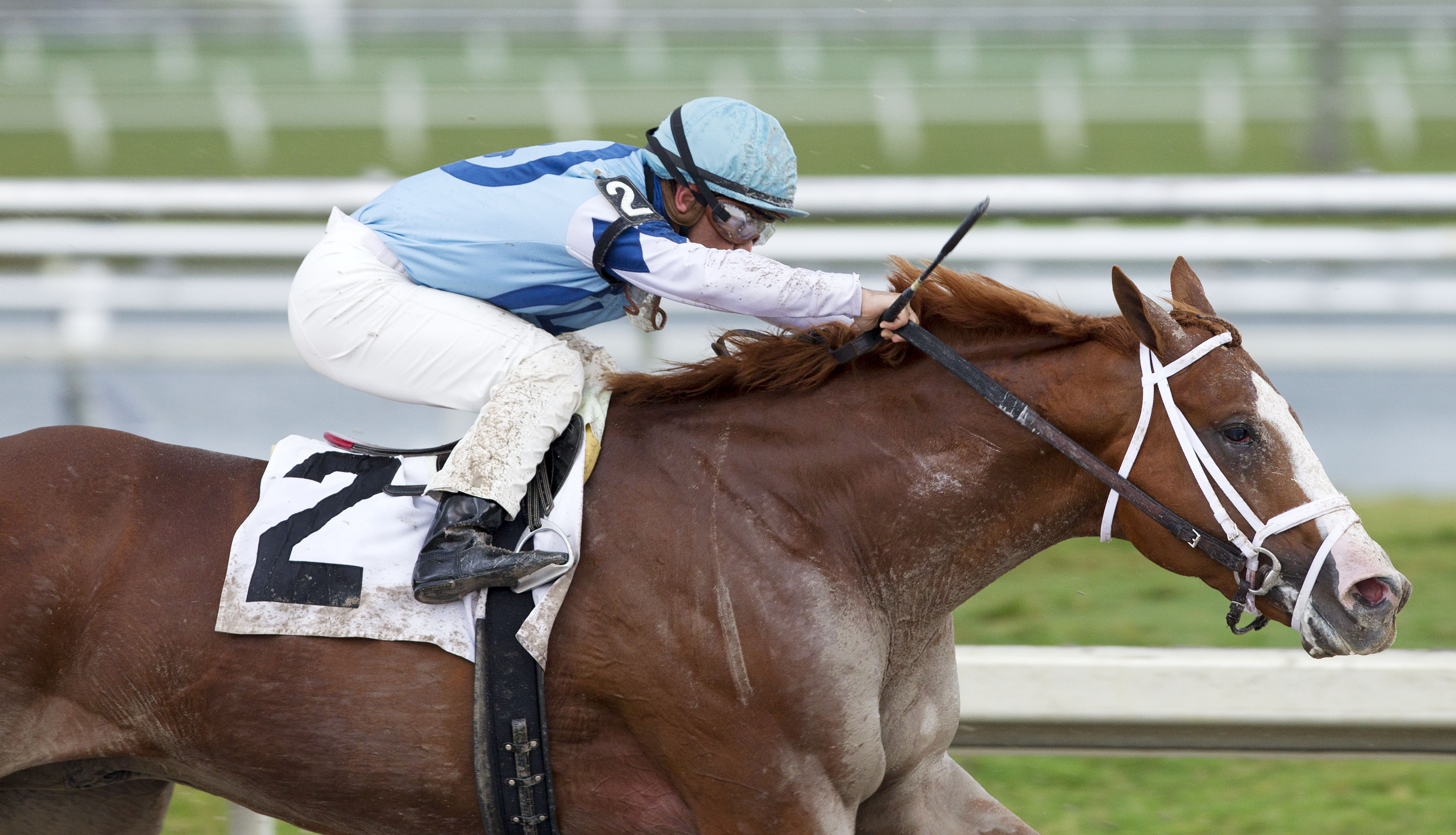 El Padrino 1-29-2012