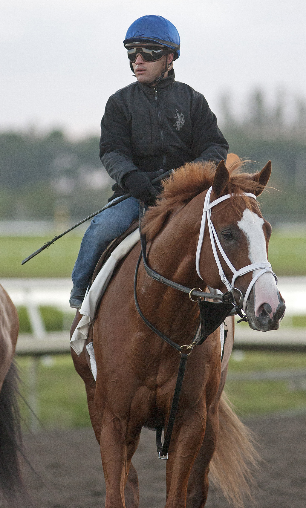El Padrino Feb. 2012