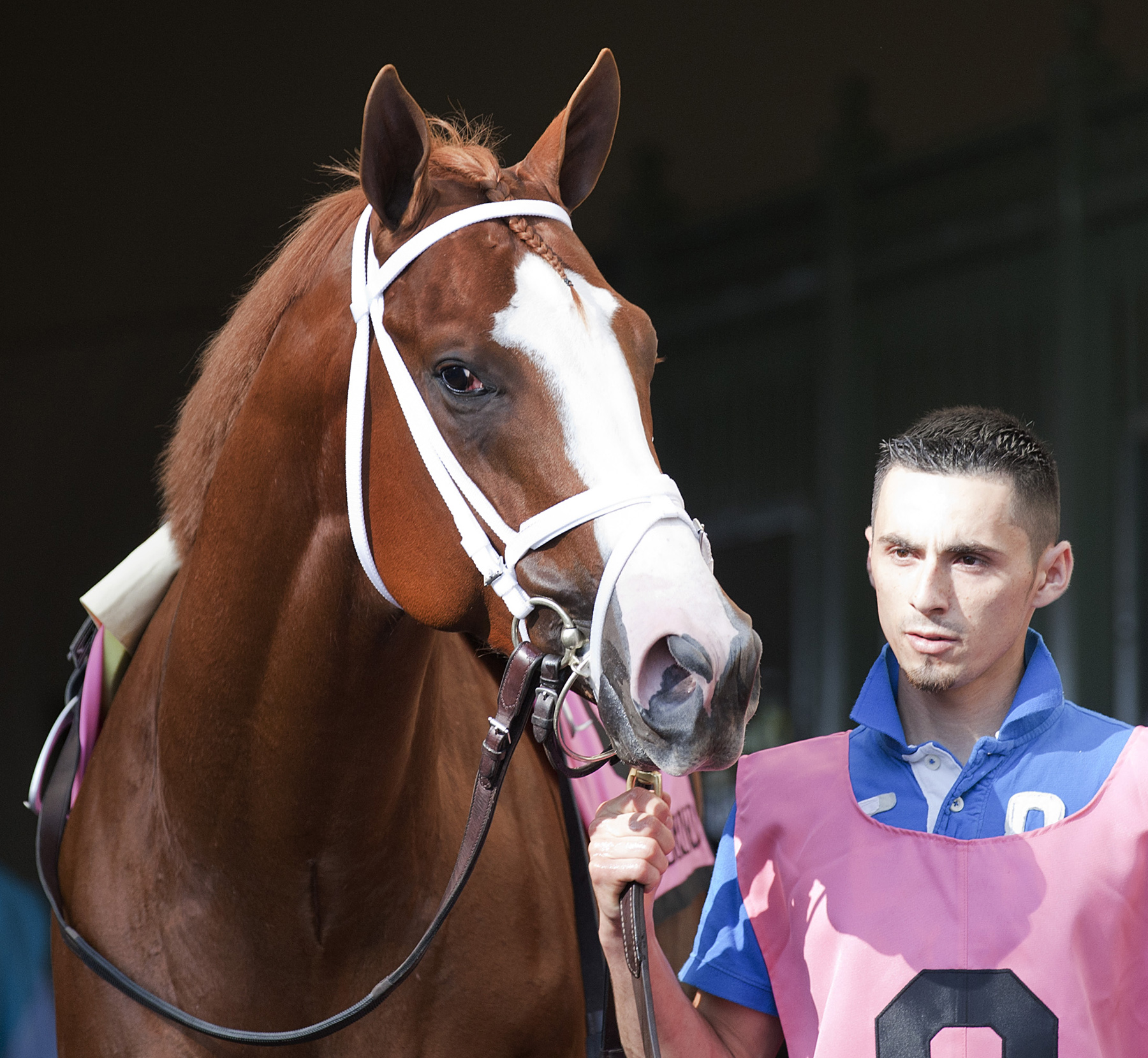 Kentucky Derby 2012: Less than ideal conditions for Gemologist, El Padrino