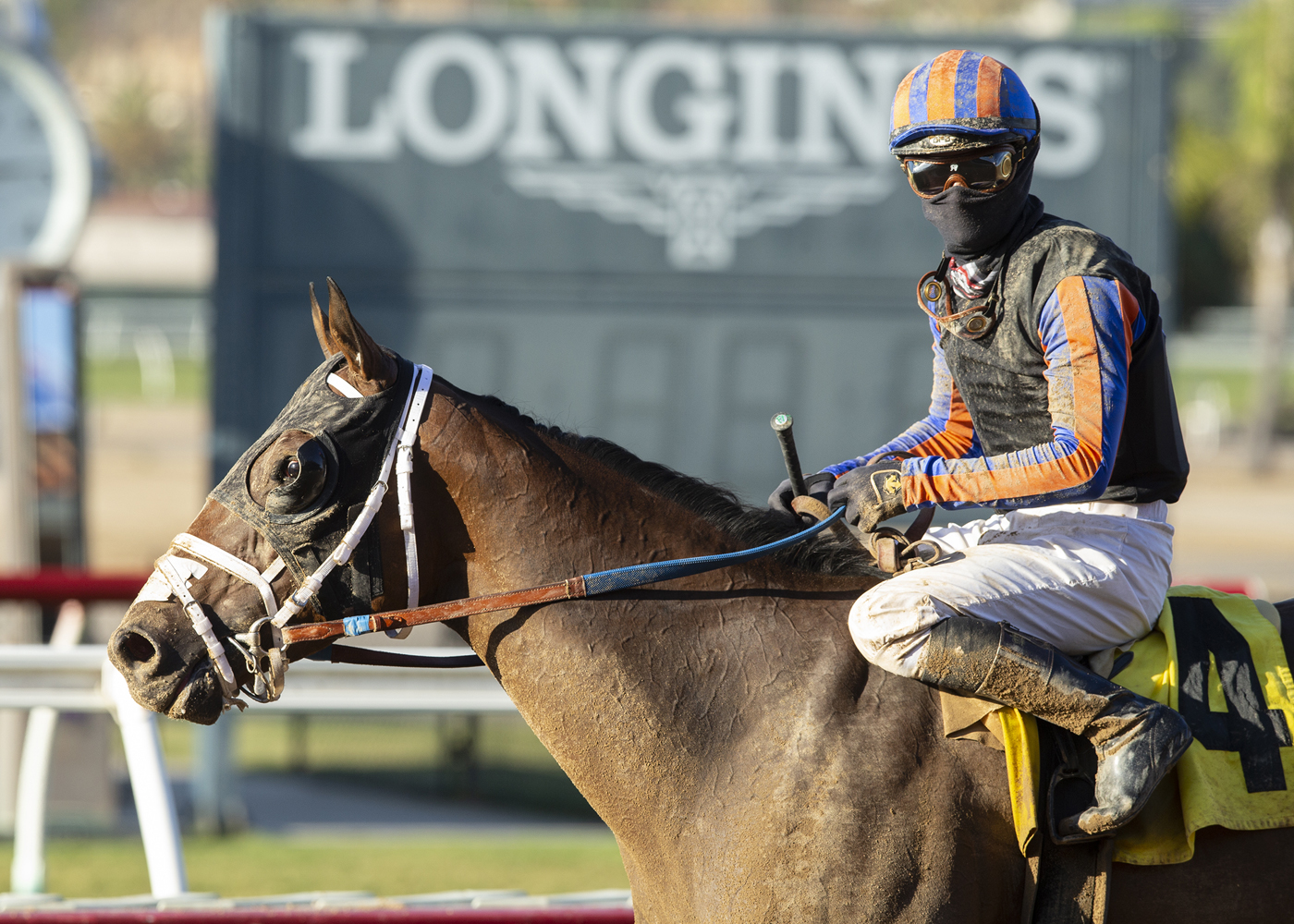 El Tigre Terrible/Real Good Deal Stakes