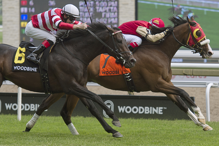 El Tormenta wins the 2019 Connaught Cup