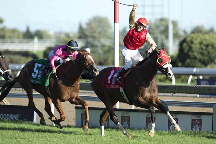El Tormenta wins the 2019 Woodbine Mile at Woodbine Racetrack