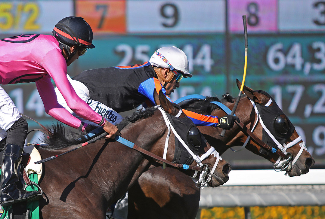 El Tigre Terrible (inside) wins the Speakeasy Stakes at Santa Anita Park