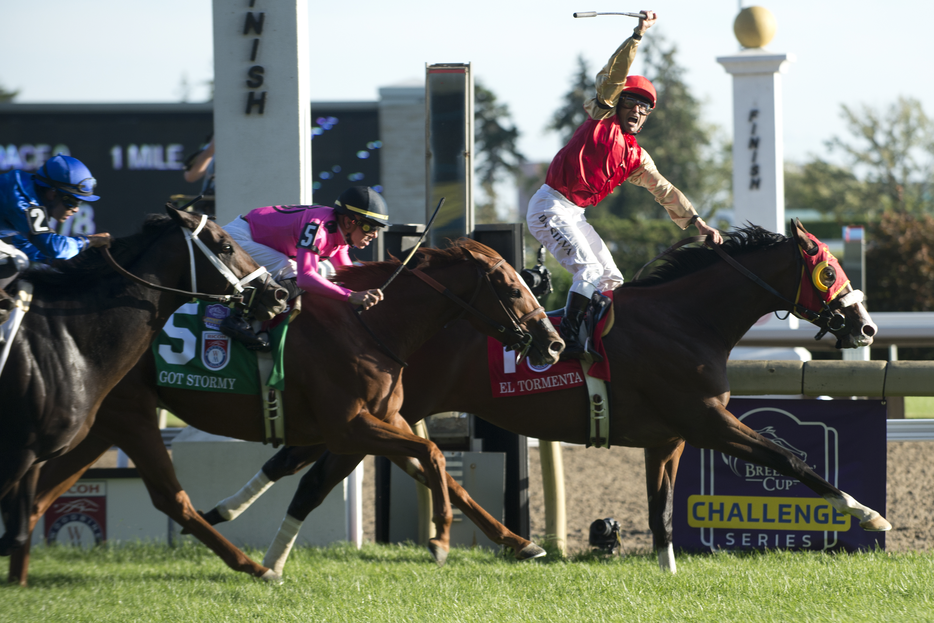 El Tormenta beats Got Stormy in the 2019 Woodbine Mile