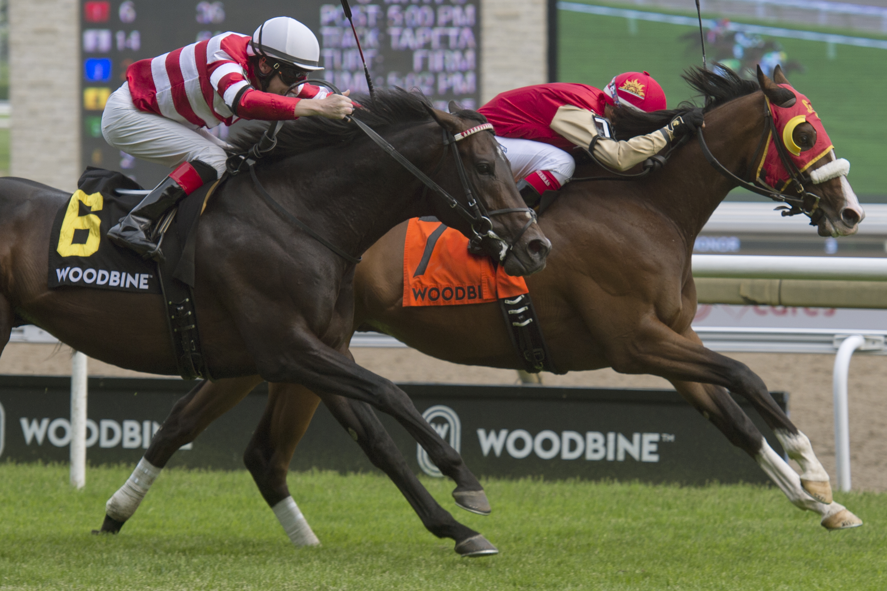 El Tormenta (right) wins the 2019 Connaught Cup