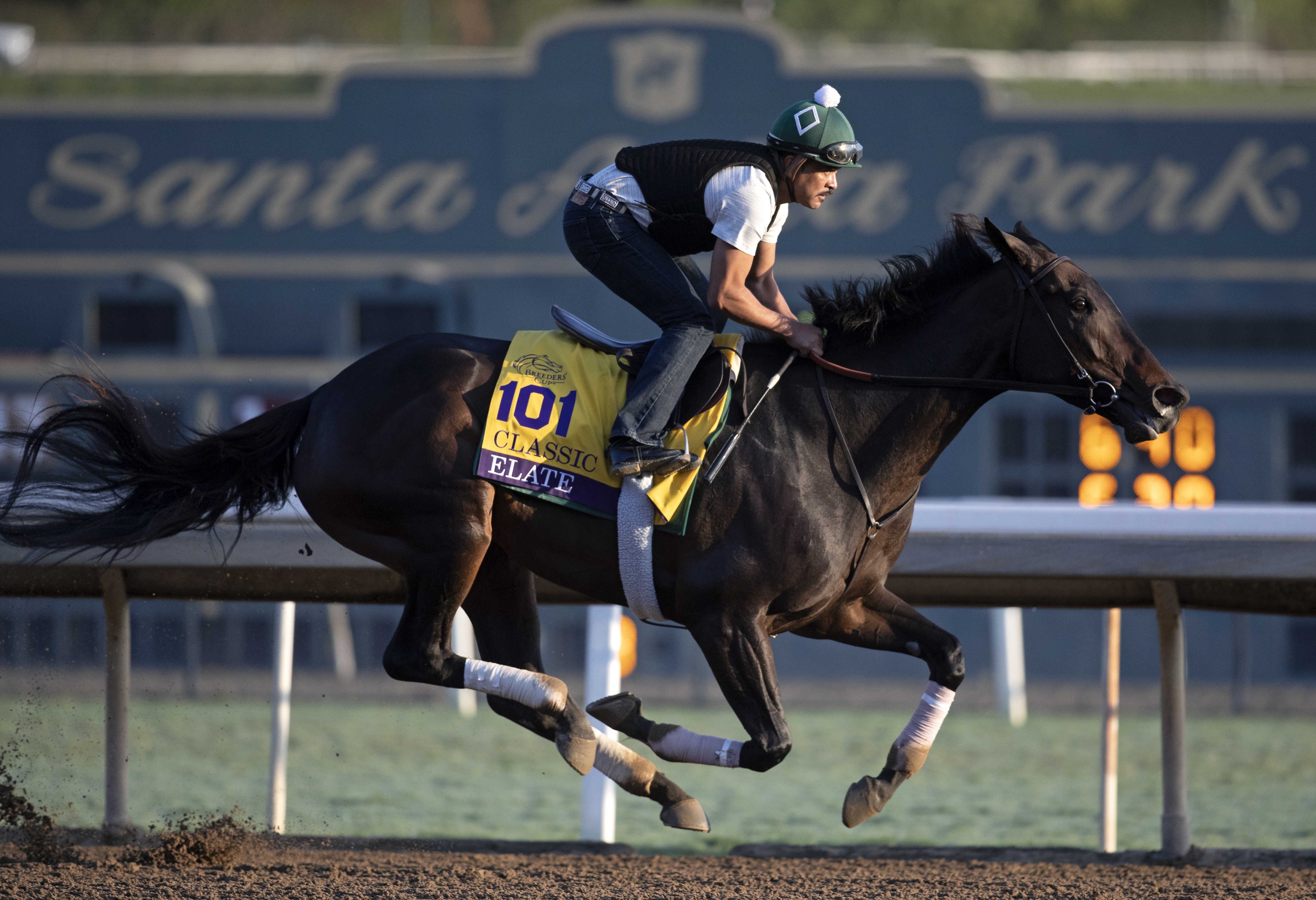 Elate works at Santa Anita Park on 10.27.19