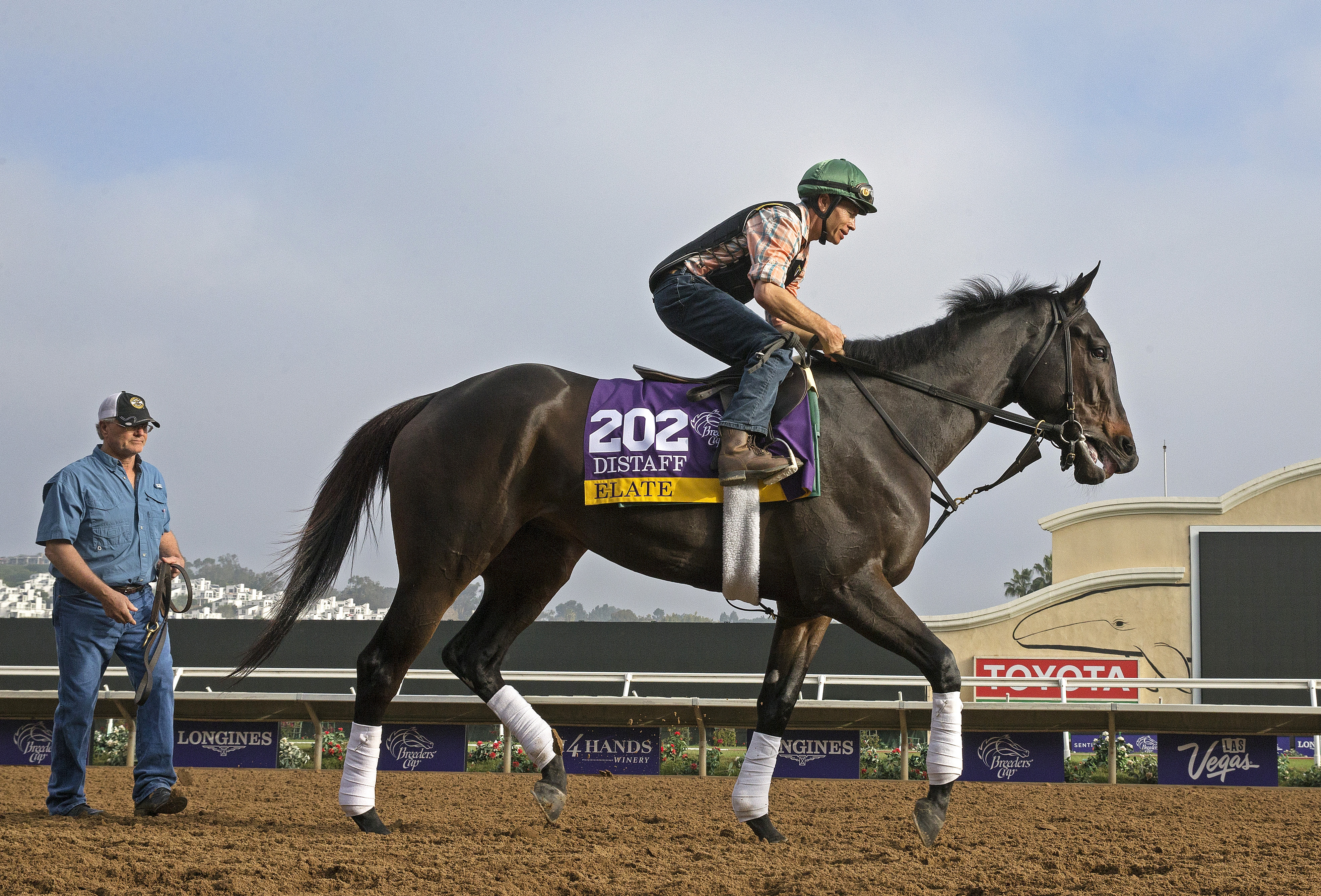 Elate with trainer Bill Mott at Del Mar on Oct. 28