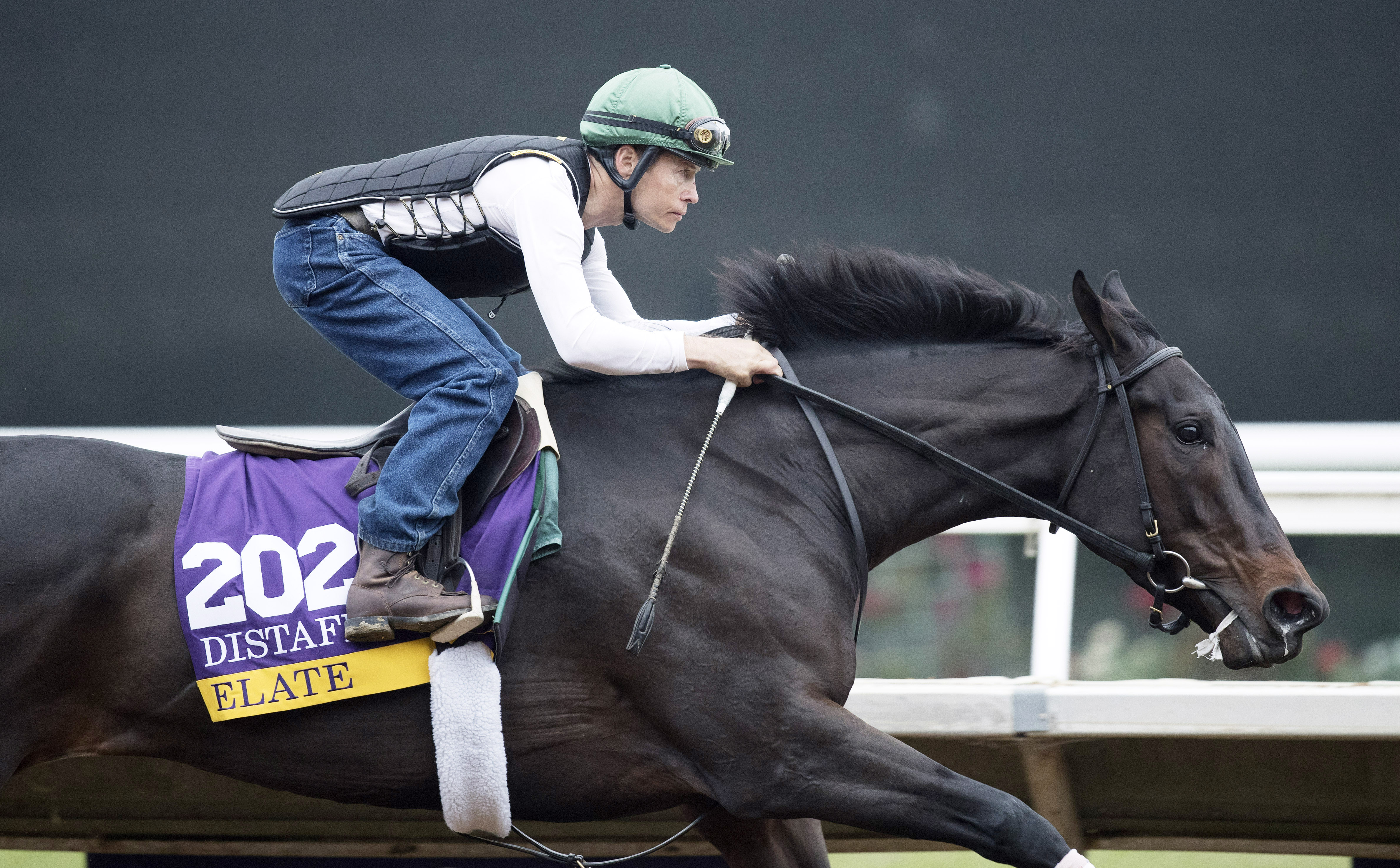 Elate trains at Del Mar on Oct. 29