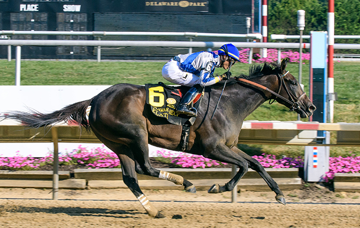 Elate wins the 2018 Delaware Handicap