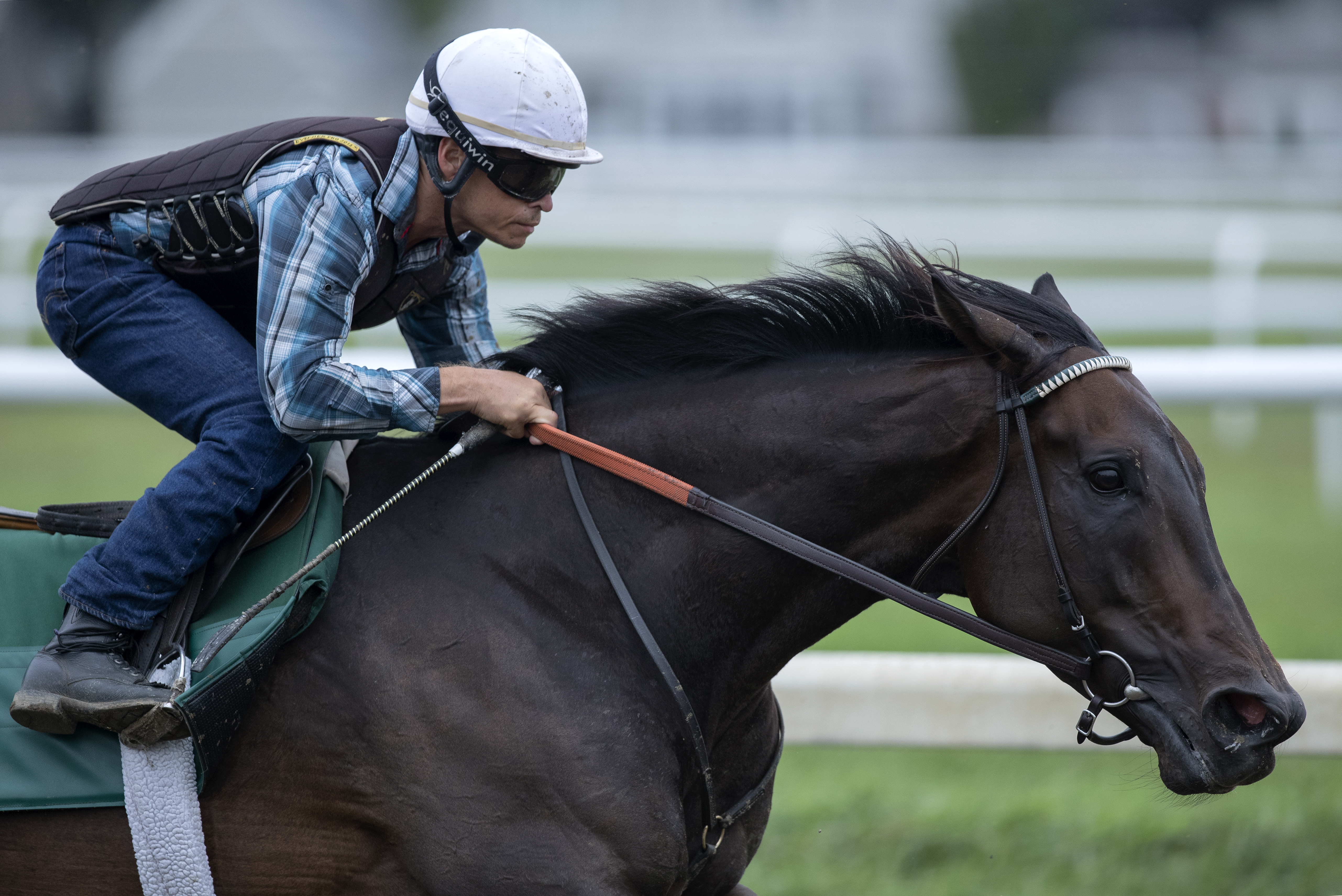 Elate works at Saratoga on 8.18.19