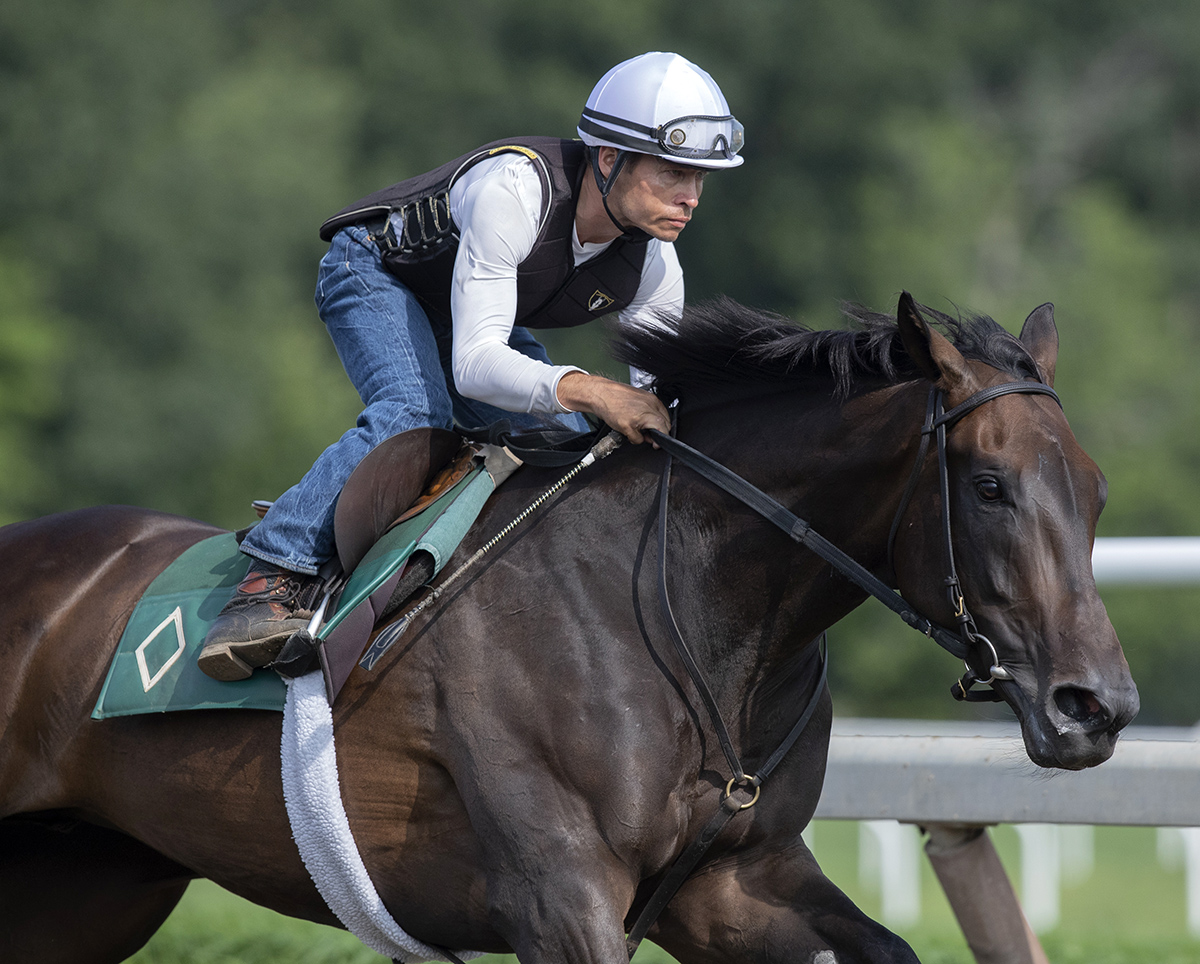 Elate trains at Saratoga on Aug. 19