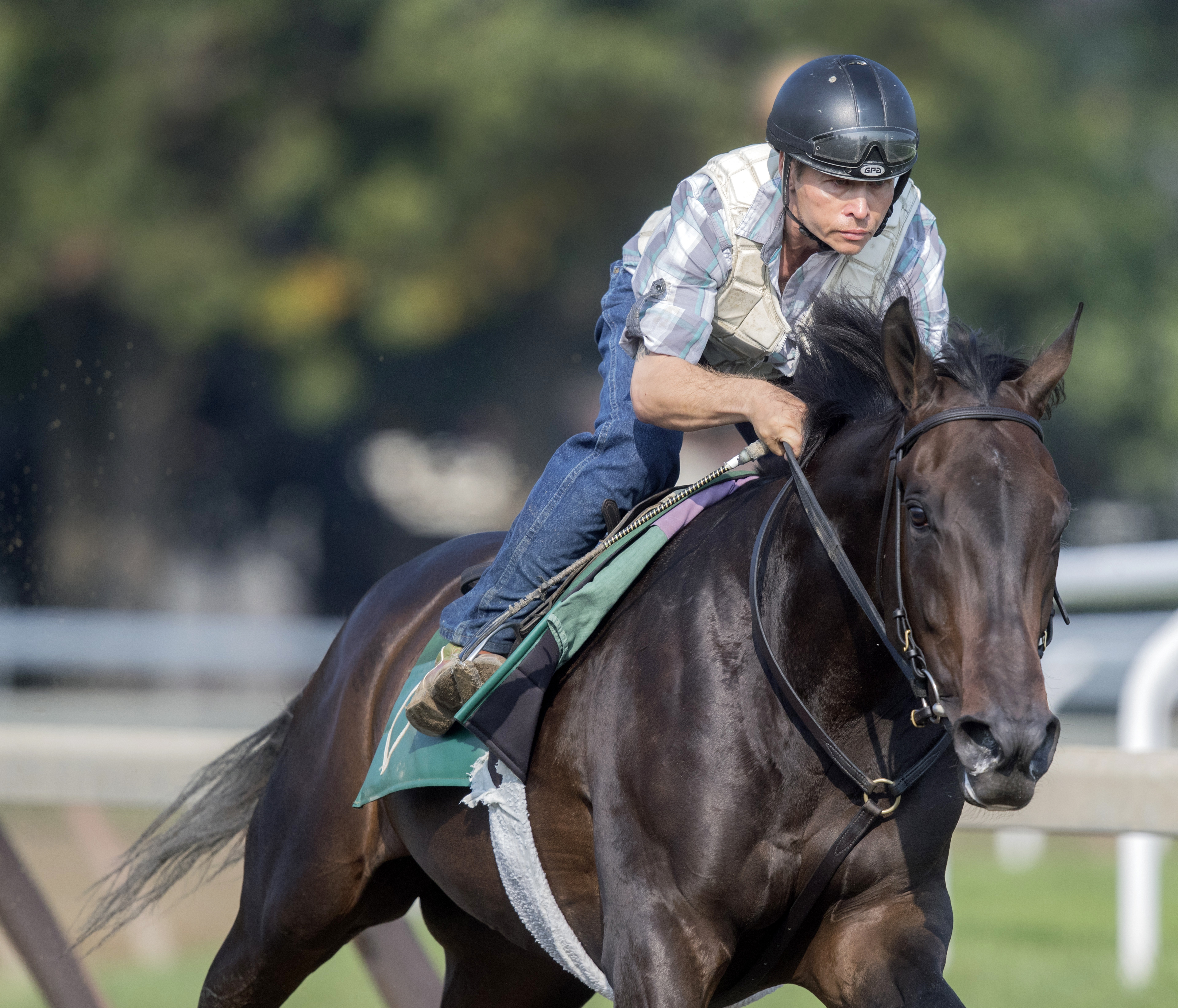 Elate trains at Saratoga on Sept. 16, 2017