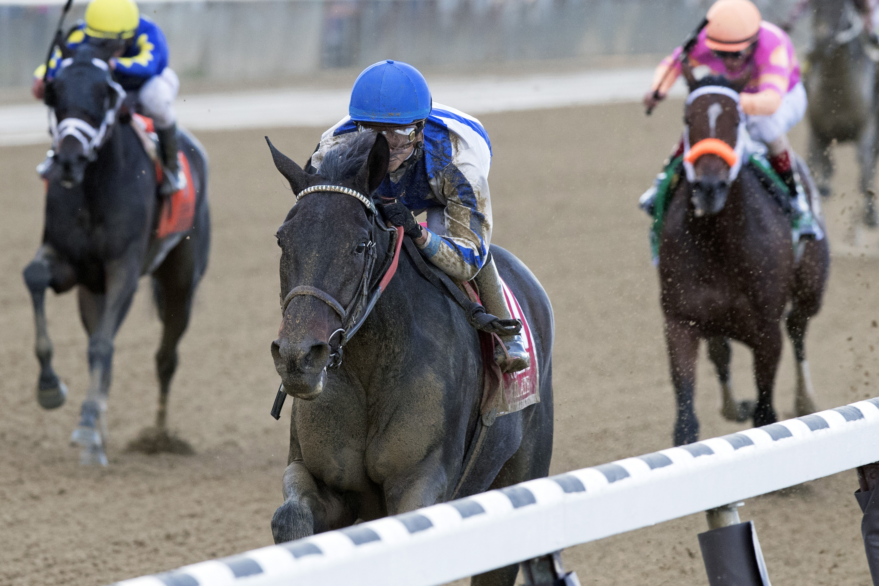 Elate wins the 2017 Beldame Stakes
