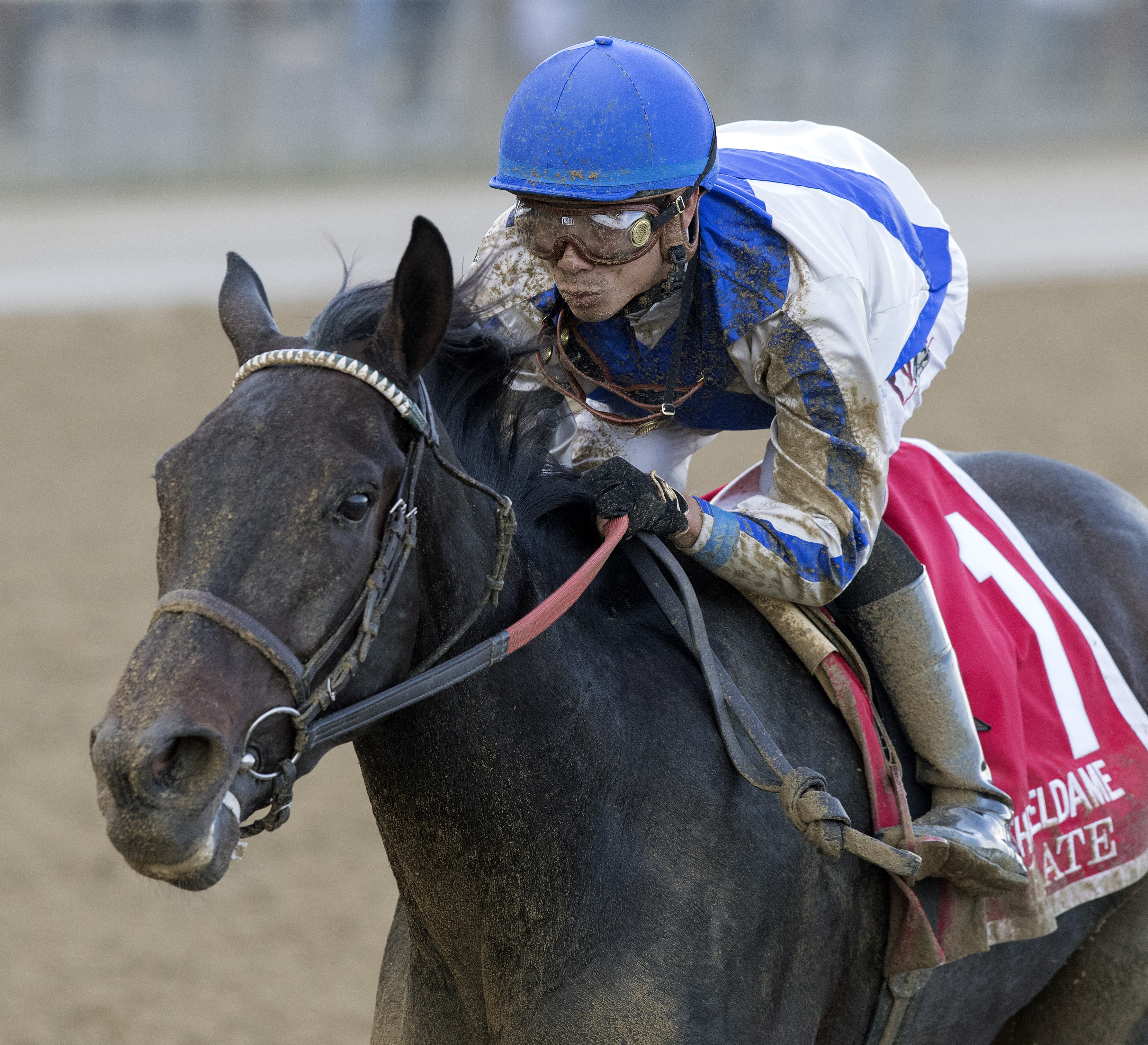 Elate wins the 2017 Beldame