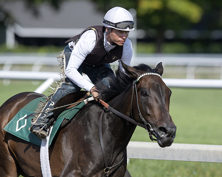 Elate trains at Saratoga Race Course on Sept. 6