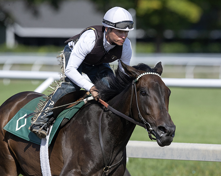 Elate trains at Saratoga Race Course on Sept. 6