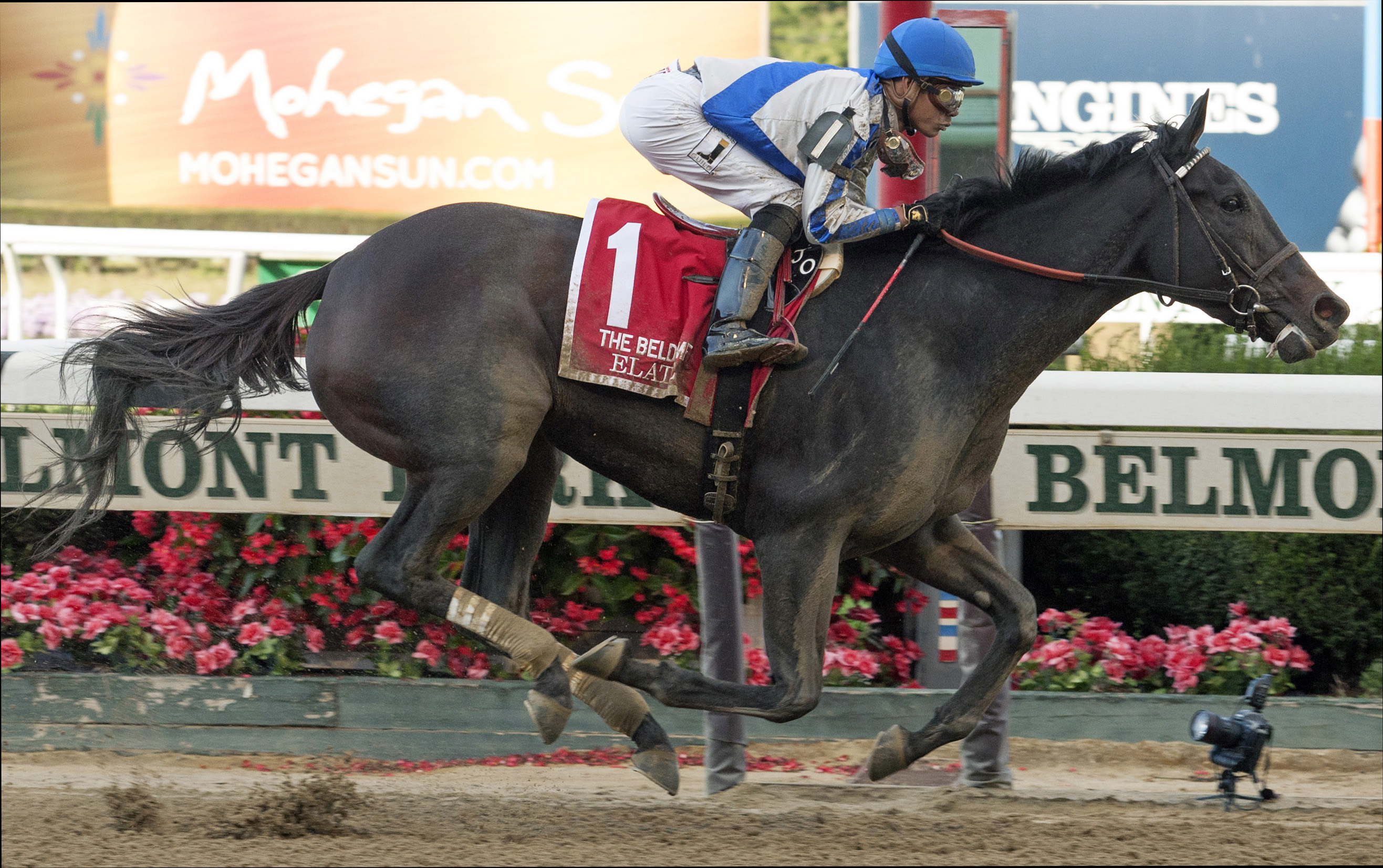 Elate wins the 2017 Beldame Stakes