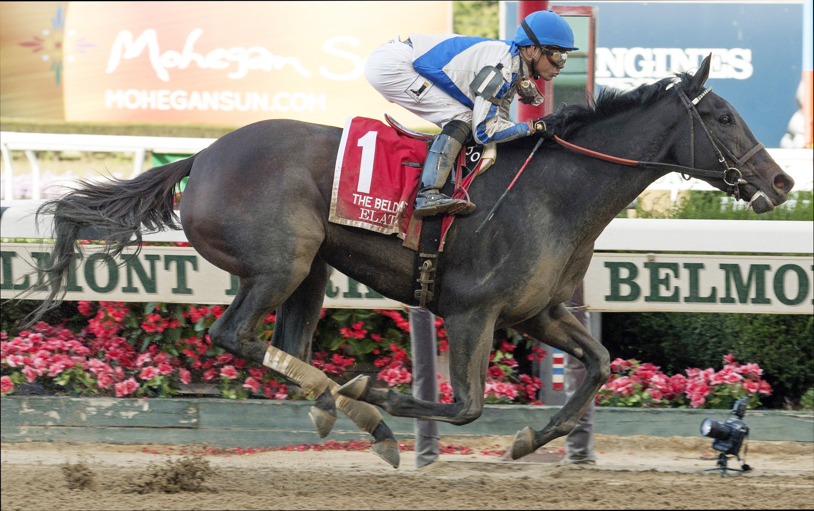 Elate wins the 2017 Beldame Stakes