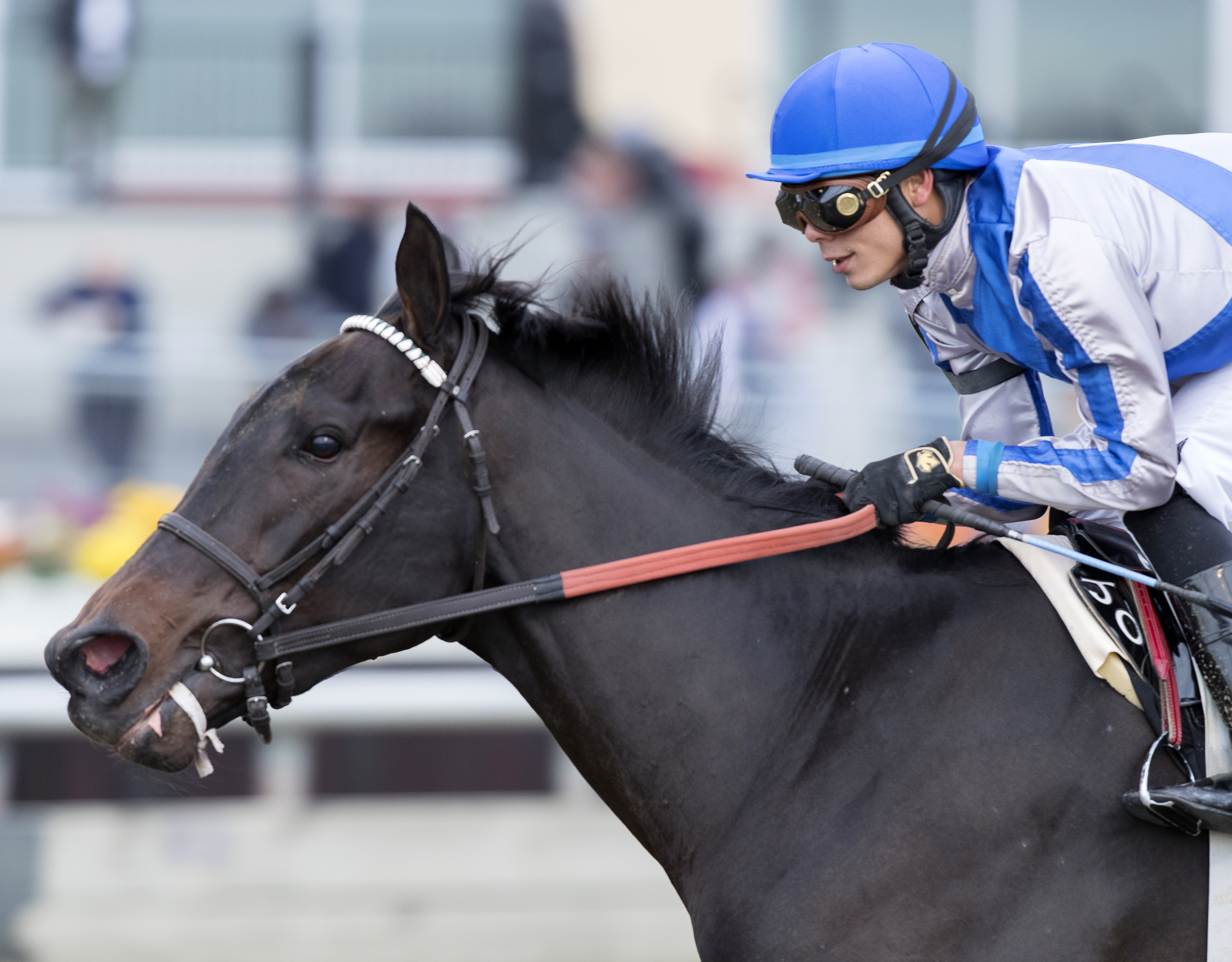 Elate wins a maiden race