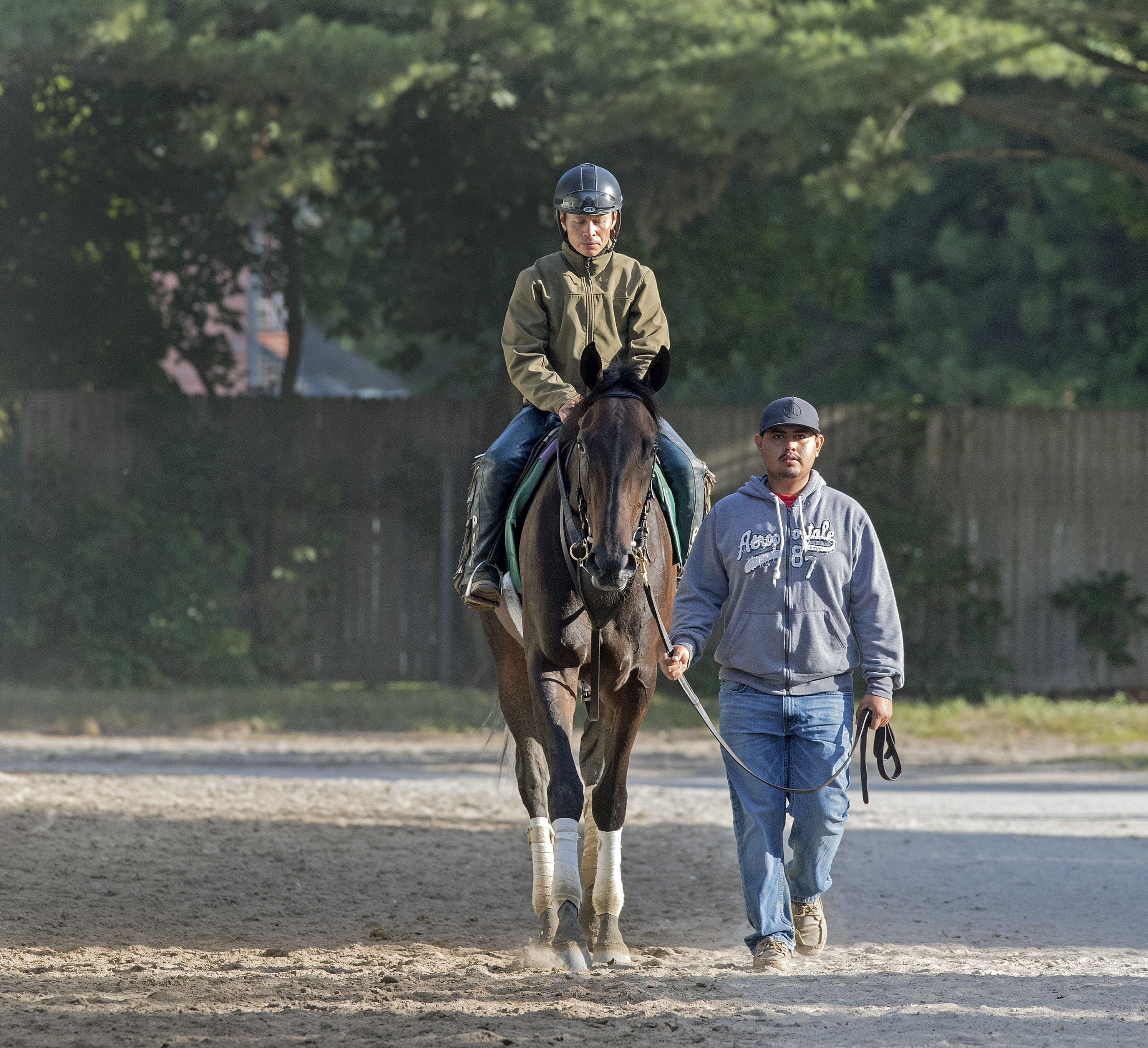 Elate at Saratoga on Aug. 17, 2017