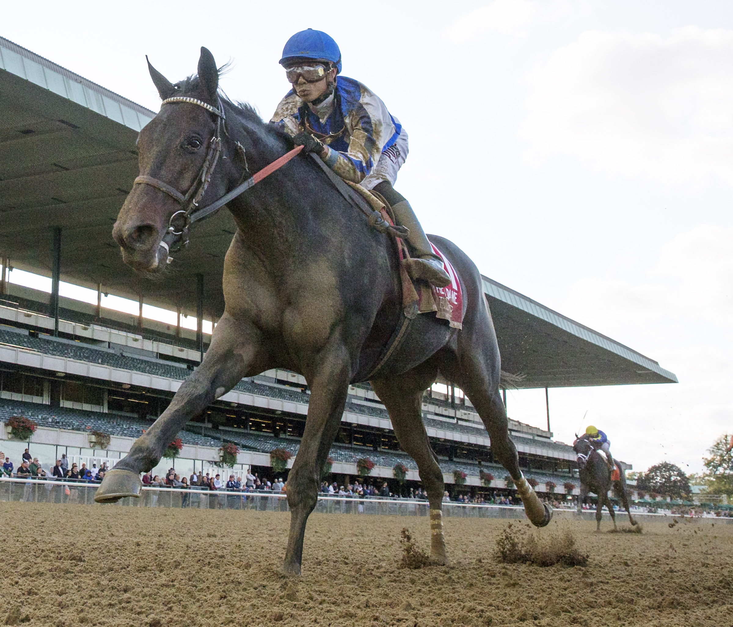 Elate wins the Beldame Stakes