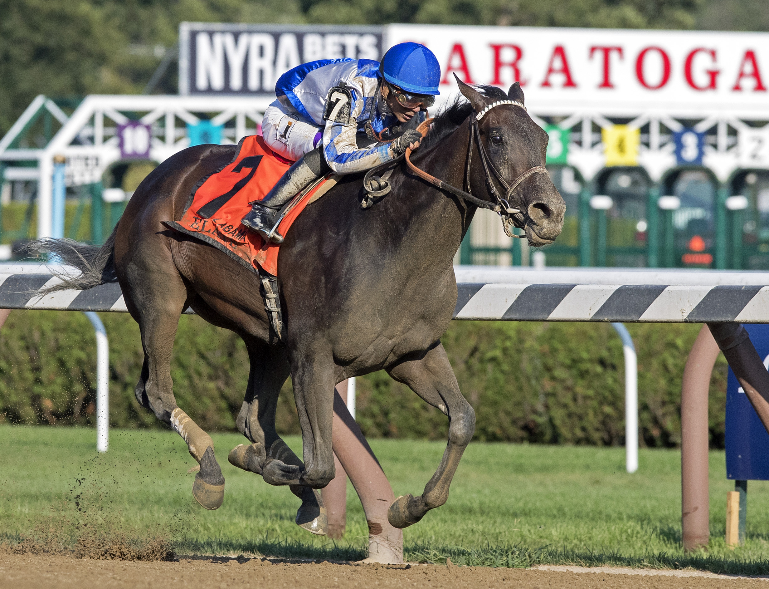 Elate wins the Alabama Stakes at Saratoga 8.19.17
