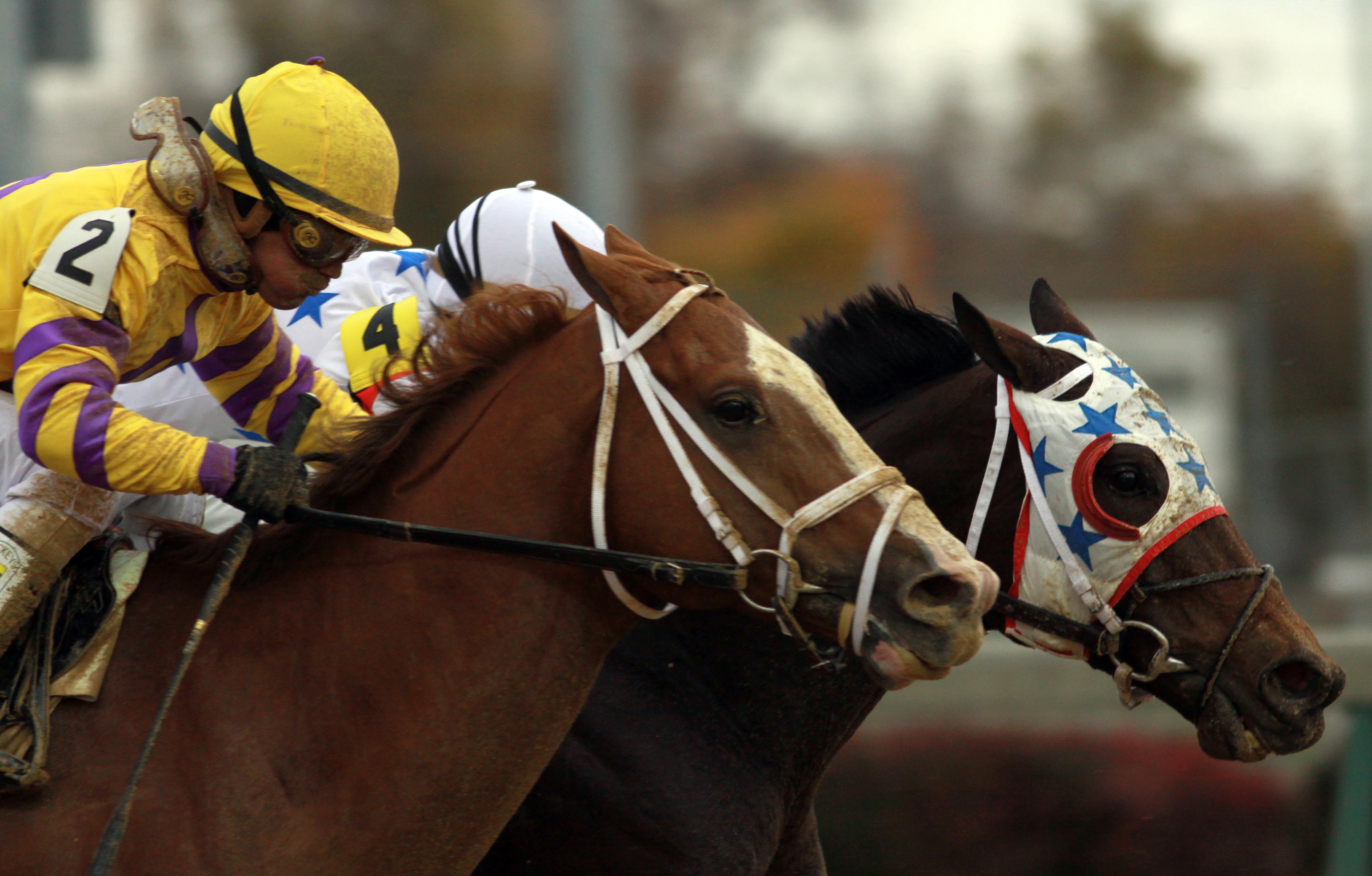Eldaafer wins BC Marathon