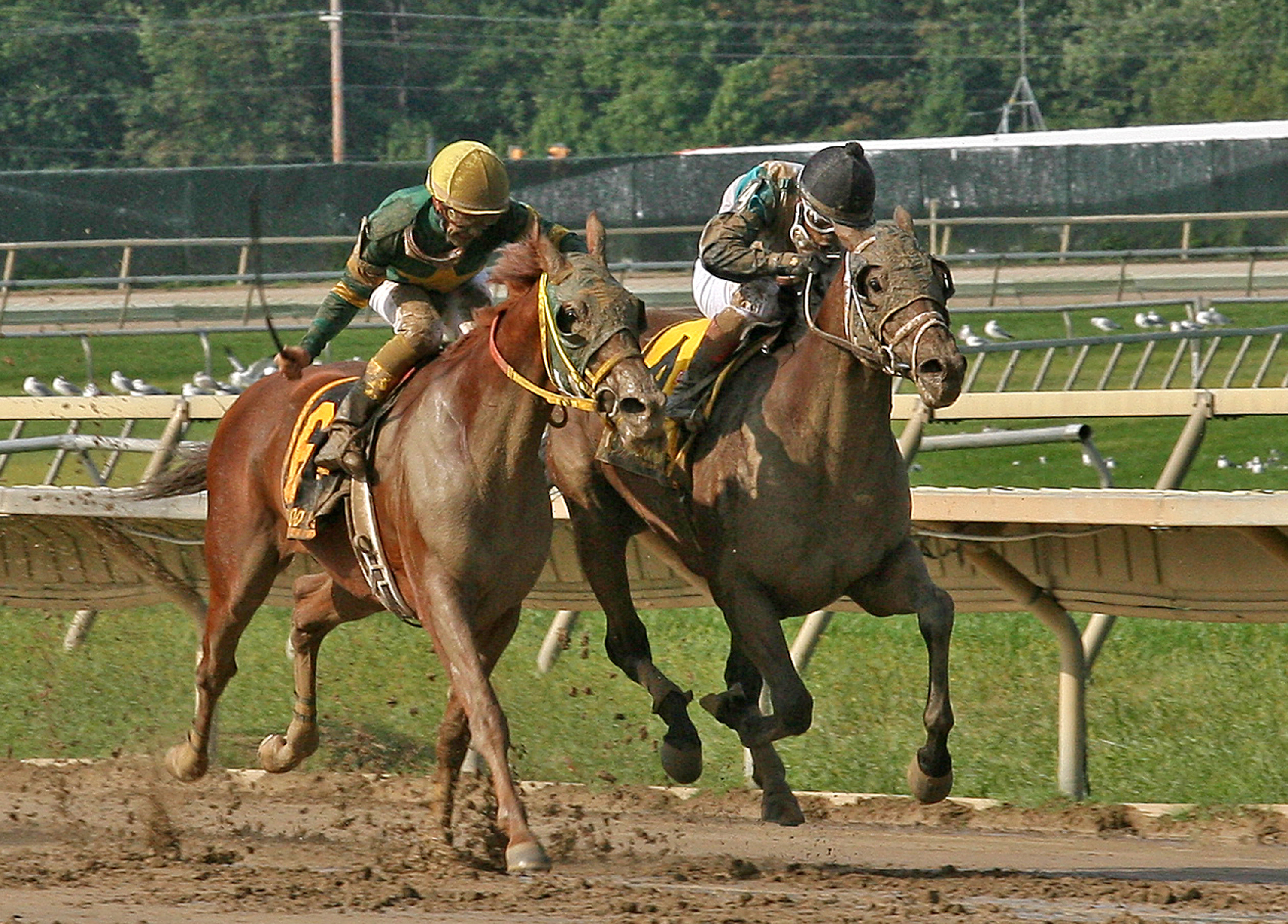 Indian Jones/2nd9-2-13